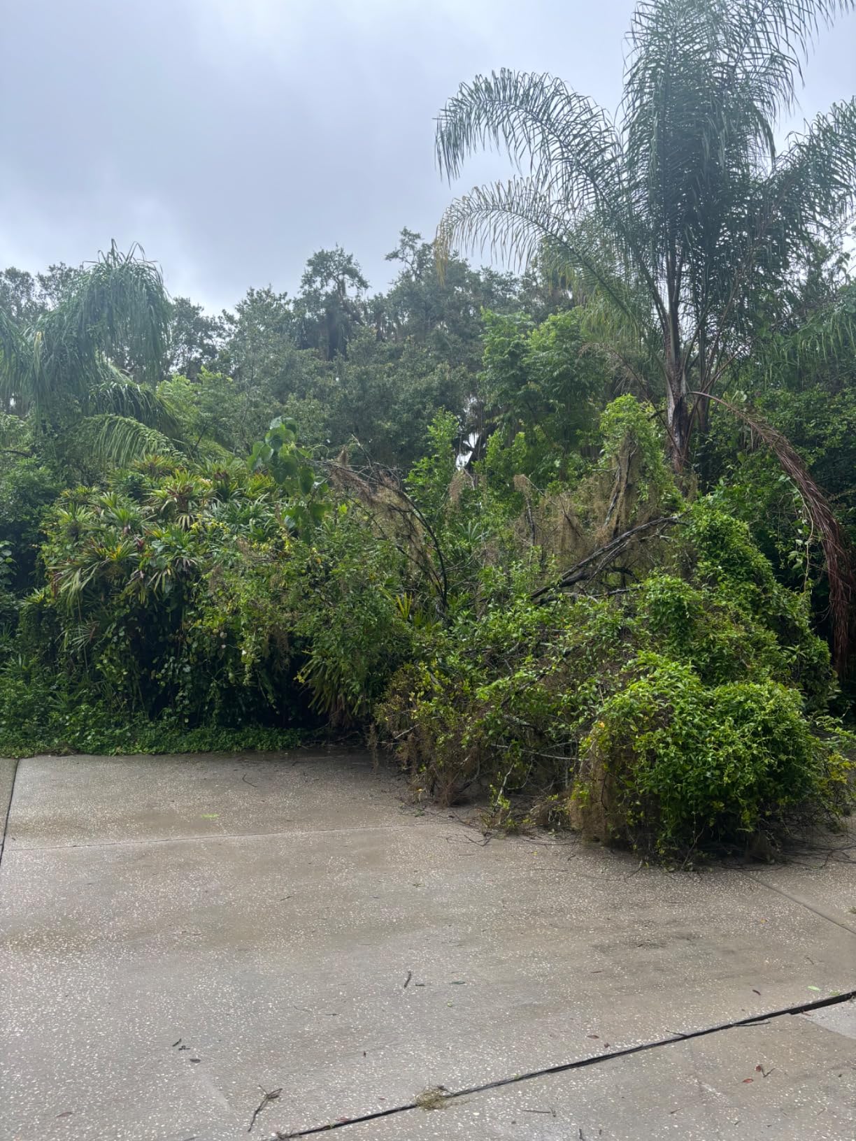 Husqvarna Power Axe 350i Cordless Electric Chainsaw, 18 Inch Chainsaw with Brushless Motor and Quiet Superior Cutting Power, 40V Lithium-Ion 7.5 Ah Battery and Charger Included customer photo 1