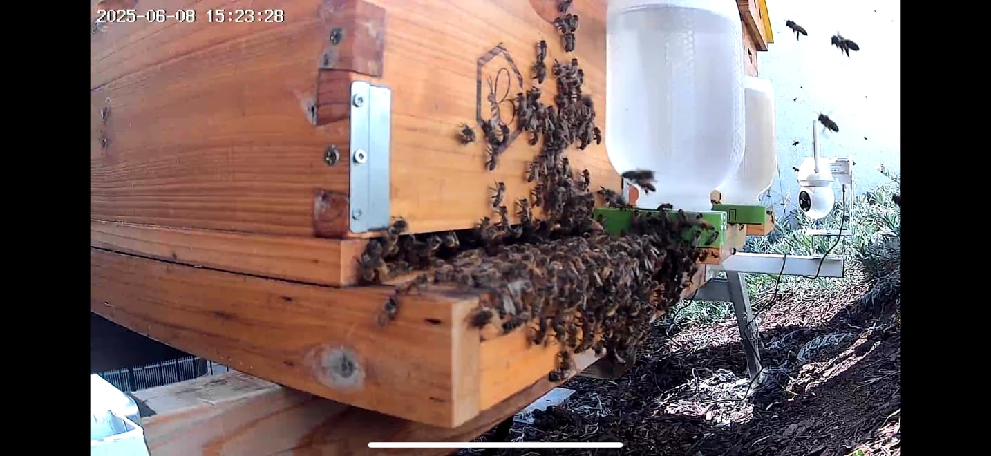 Foxhound Bee Co: Honey Bee Feeder for Beekeeping with Plastic Entrance Feeder and Extra Large Half Gallon Bottle for Feeding Sugar Syrup or Water to Bee Hives - 2 Pack customer photo 2