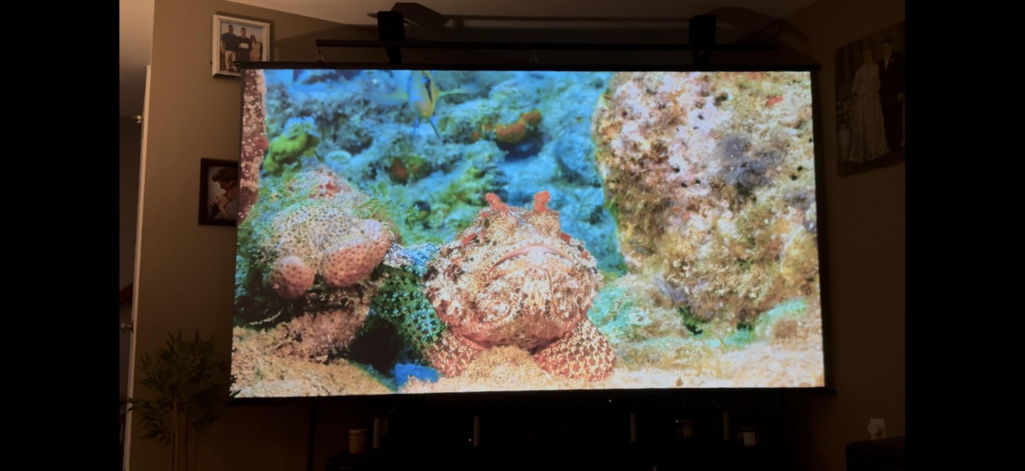 4K Projector with Wifi and Bluetooth, ELEPHAS Outdoor Movie Projector Compatible with NETFLIX/Prime Video/YouTube, 100,000+ Apps Supported, Smart Video Projector for HDMI/USB/iOS/Android/Windows customer photo 1