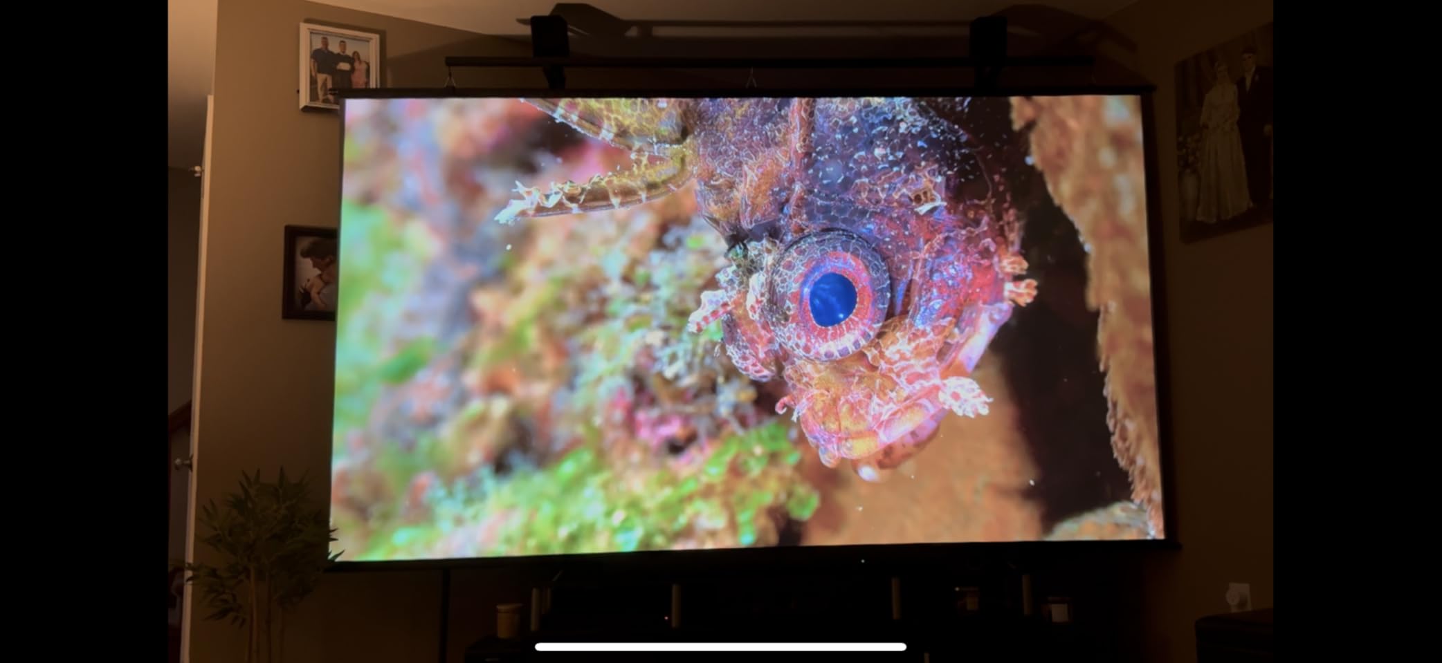 4K Projector with Wifi and Bluetooth, ELEPHAS Outdoor Movie Projector Compatible with NETFLIX/Prime Video/YouTube, 100,000+ Apps Supported, Smart Video Projector for HDMI/USB/iOS/Android/Windows customer photo 2