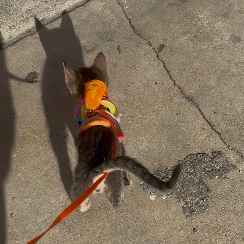 4 Sets Adjustable Bunny Rabbit Harness and Leash Set Small Pet Cute Vest Harness Leash Ferret Harness Guinea Pig Harness customer photo 2