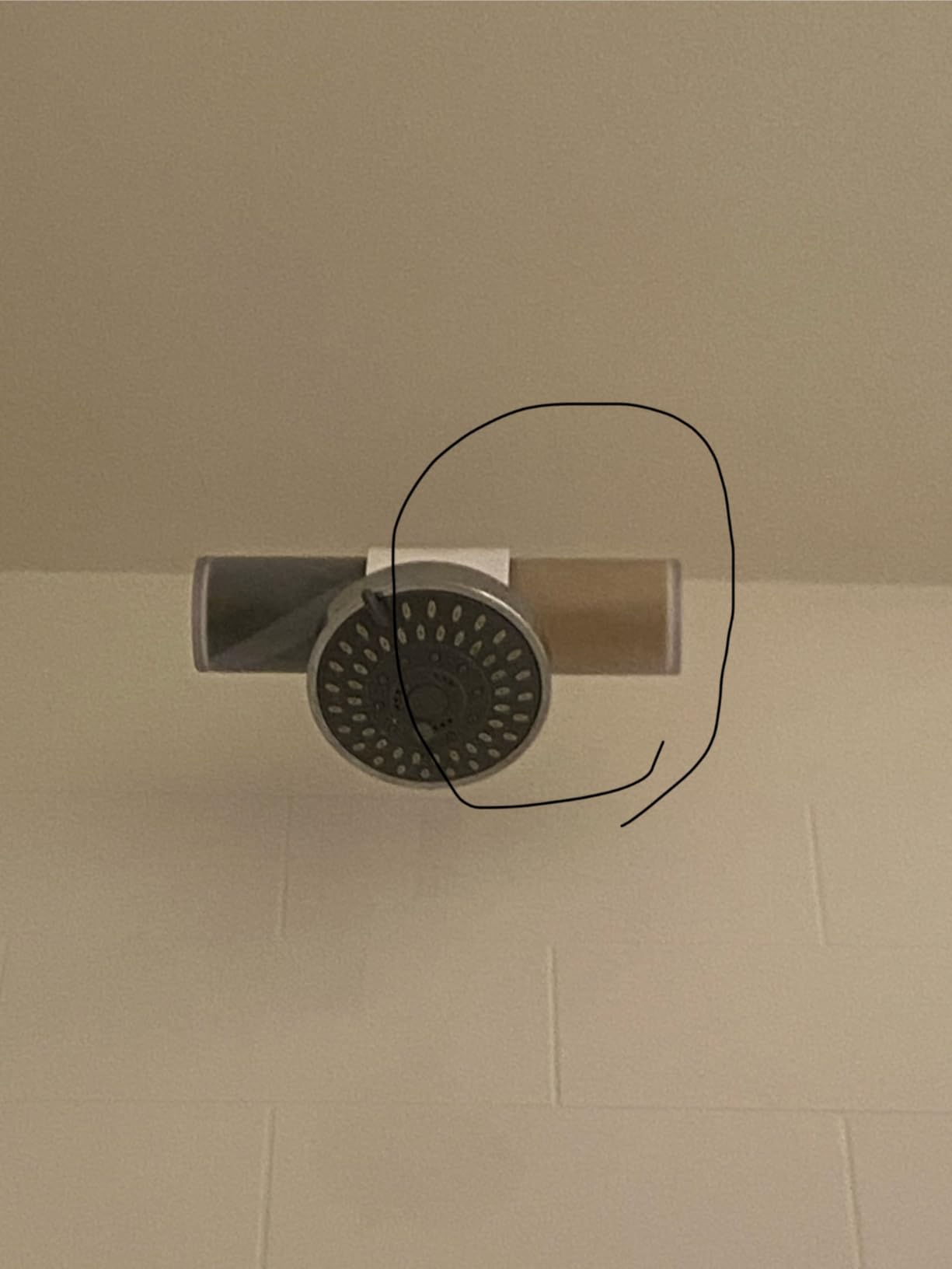 Weddell Duo Shower Head Filter, NSF Certified Chlorine Reduction, Lead-Free | Easy Installation, Award-Winning Filter customer photo 1