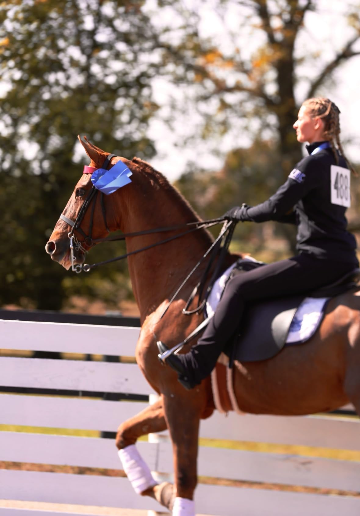 Shires Clio Plus English Paddock Boots Ladies customer photo 1