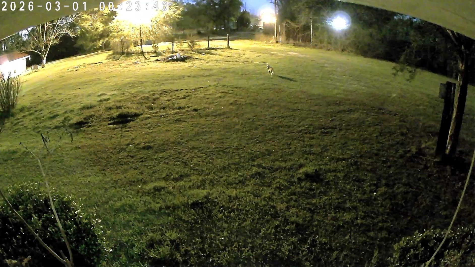 Tapo 2K+ Indoor/Outdoor Wired Security Camera - 2024 PCMag Editors' Choice, Person/Pet/Vehicle Detection, Baby Monitoring, Color Night Vision, Subscription-Free Local Storage or Optional Cloud, C120 customer photo 2