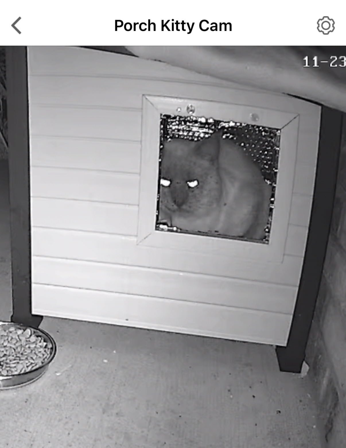 Reflective Bubble Insulation Sheet, Double Side Aluminum Foil Bubble Shield, Aluminum Foil Thermal Insulation Radiant Barrier for Windows, RV, Roof, Garage Door (23.6IN X 10FT) customer photo 1