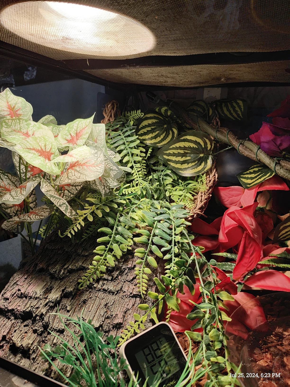 Reptile Heat Bulb Lamp, 2-Pack 100W Daylight Basking Spot, Bearded Dragon/Turtle/Lzard/Gecko Light Bulb, UVA Heat Lamp, Basking Light for Reptiles customer photo 2