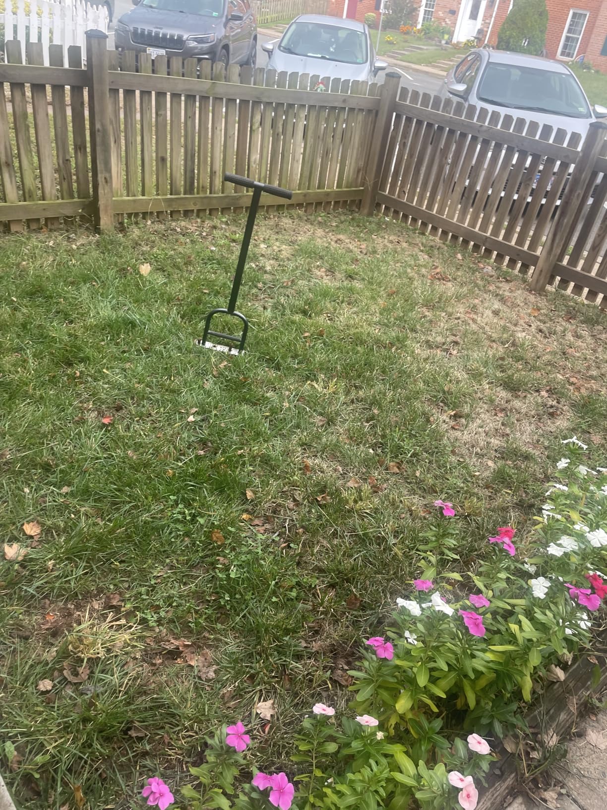 Dolibest Lawn Coring Aerator, Stainless Steel 4 Corer Plug Aerator Tool with Soft Rubber Grip, Manual Grass Aerating Tool, Garden Tool & Cleaning Hand Tool for Loosening Soil and Improving Lawn Health customer photo 1