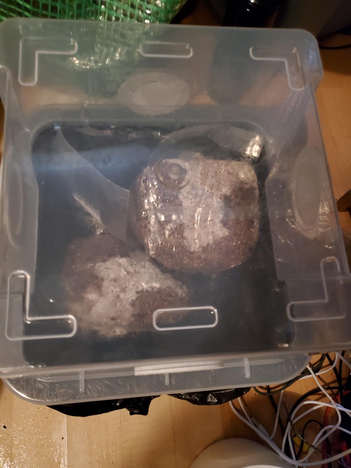 Grower's Select Mushroom Monotub Fruiting Chamber with Filter Disks and Liner customer photo 2