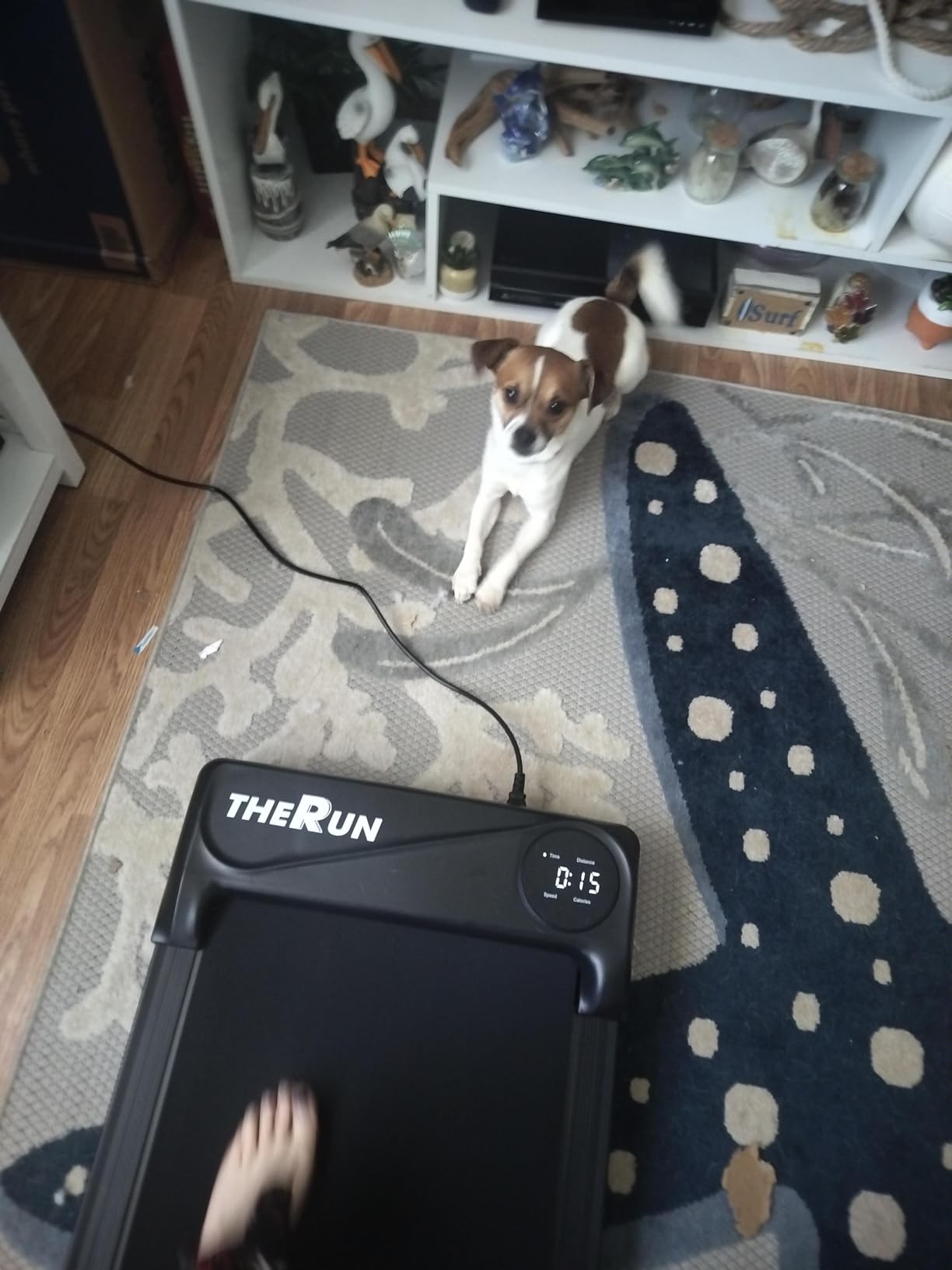 THERUN Walking Pad Treadmill Under Desk, Portable Mini Treadmill for Home/Office, Walking Pad Machine with 2.5HP and 265 lbs Weight Capacity Remote Control LED Display customer photo 1