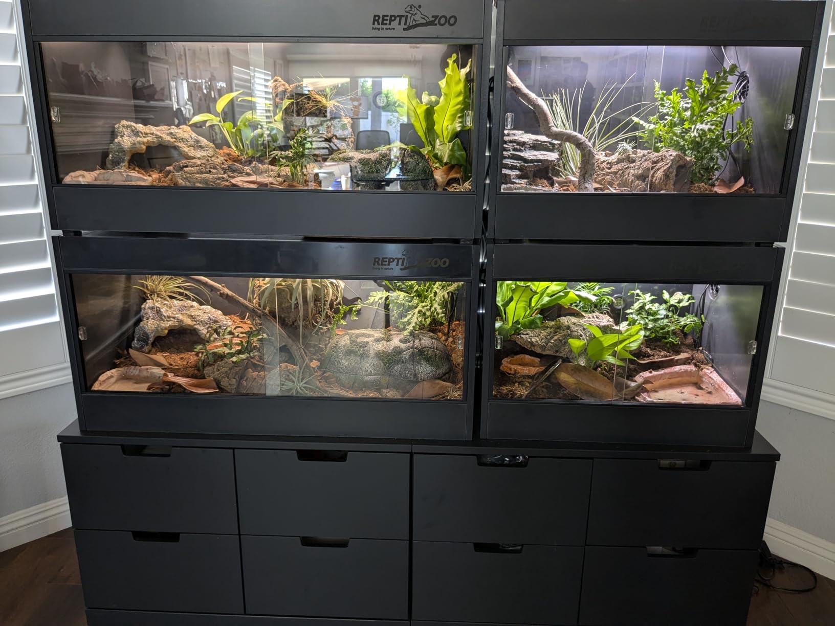 REPTI ZOO 50 Gallon PVC Reptile Enclosure, 36x18x18 inch Reptile Tank for Ball Python Bearded Dragon Snake Gecko, Reptile Terrarium Lounge Habitat with Glass Sliding Door & Top Screen Ventilation customer photo 1