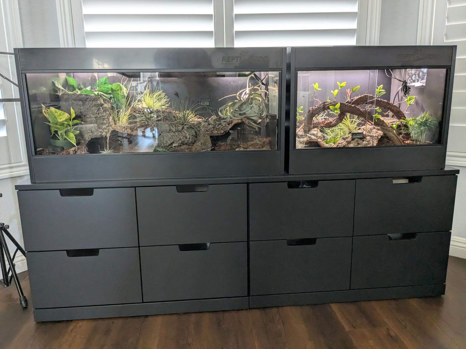 REPTI ZOO 50 Gallon PVC Reptile Enclosure, 36x18x18 inch Reptile Tank for Ball Python Bearded Dragon Snake Gecko, Reptile Terrarium Lounge Habitat with Glass Sliding Door & Top Screen Ventilation customer photo 2