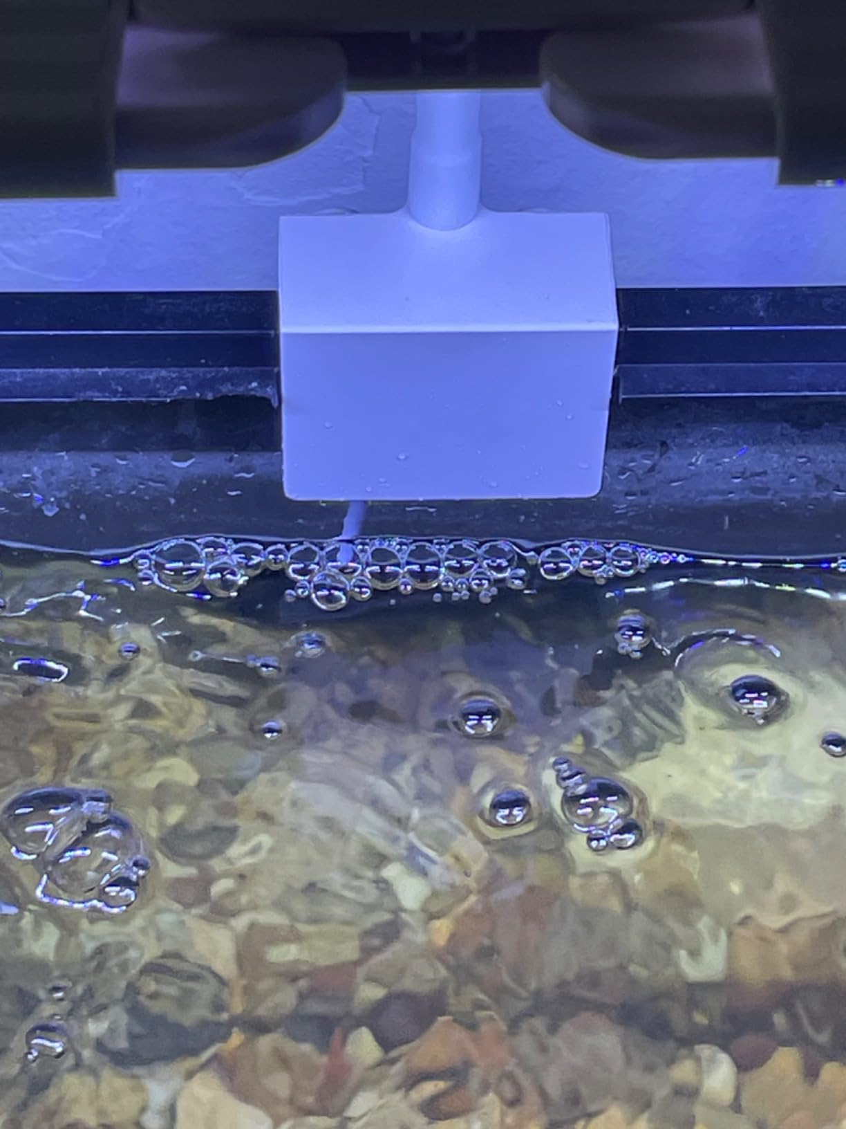 Ohtomber Aquascape Tools Aquarium Kit - 4PCS Terrarium Supplies Include Long Tweezers for Terrarium, Feeding Tongs, Aquarium Scissors, Algae Scraper for Fish Tank Cleaning Plant Trimming customer photo 1