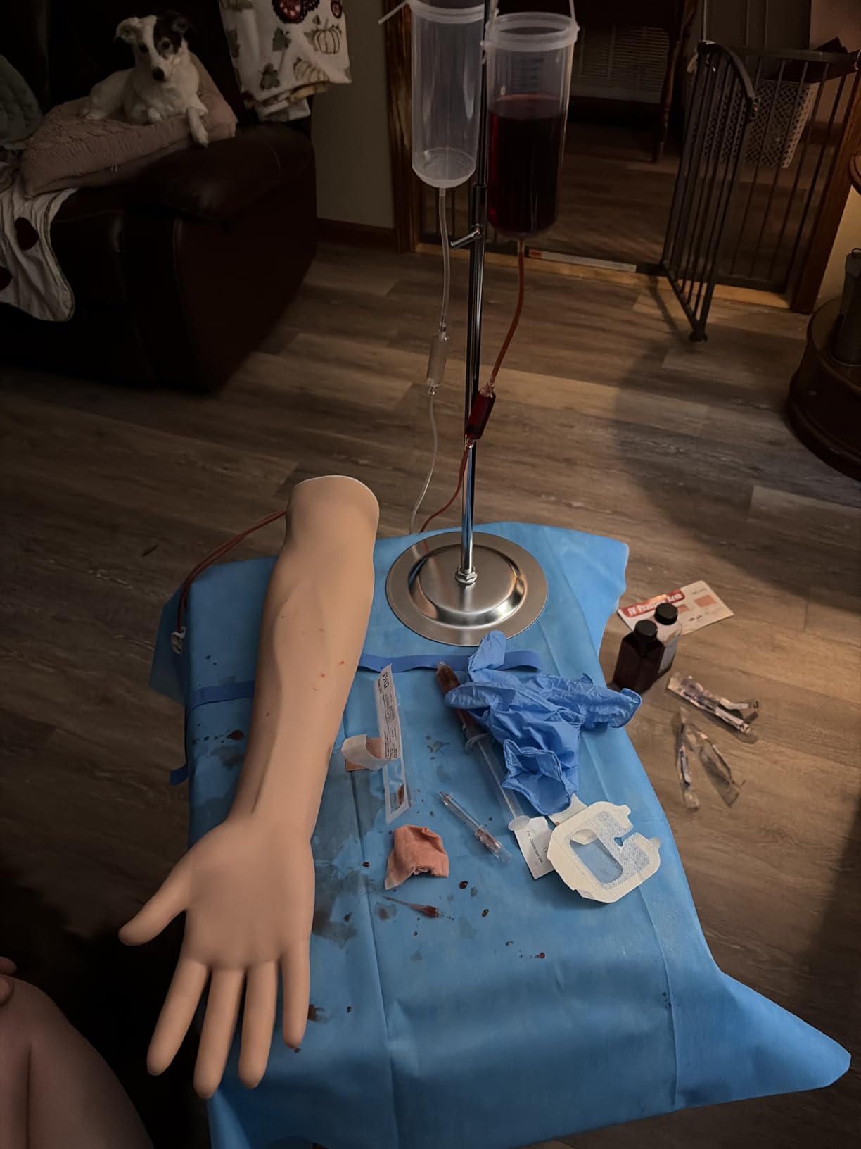 SimCoach Phlebotomy Practice Kit for Injection Training, IV Practice Kit with Phlebotomy Arm, Venipuncture and Blood Draw Practice Kit for Medical Students, Nursing School Essentials customer photo 1