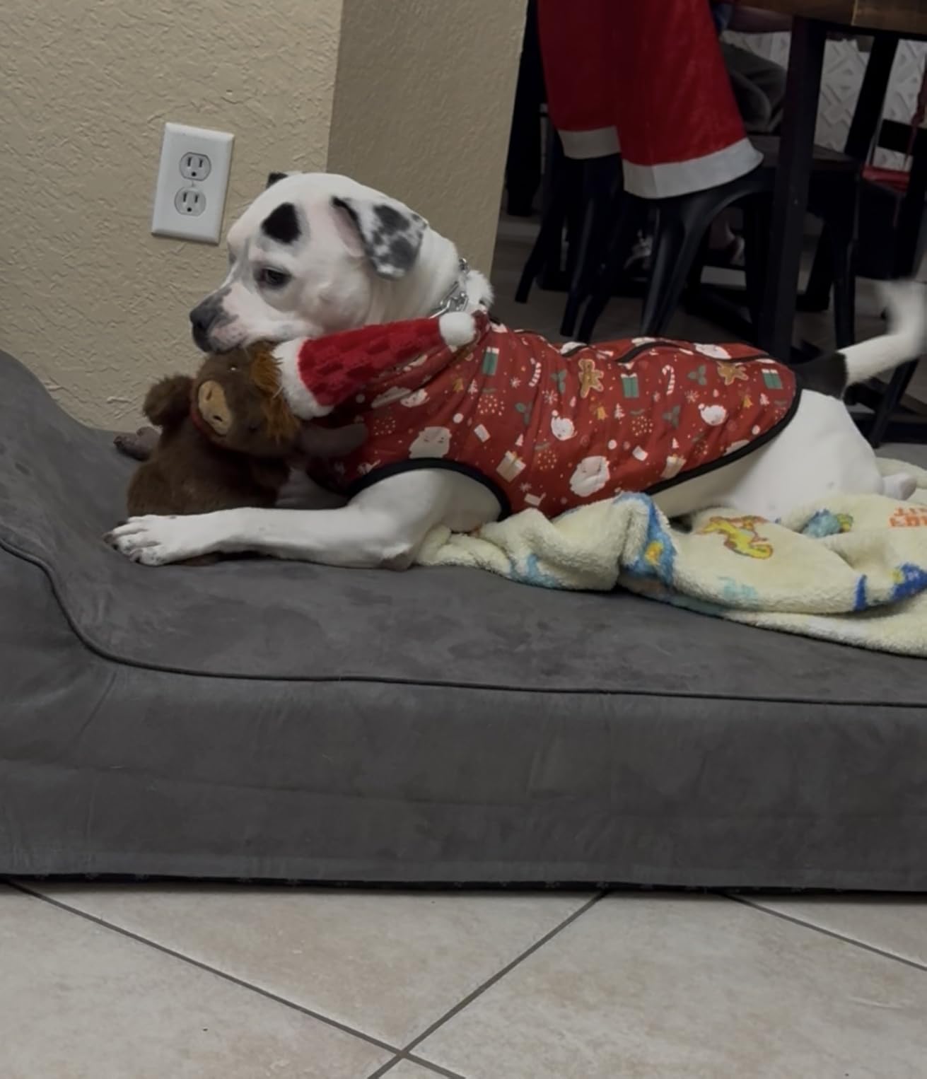 Rainmr Orthopedic Dog Beds for Large Dogs, 7