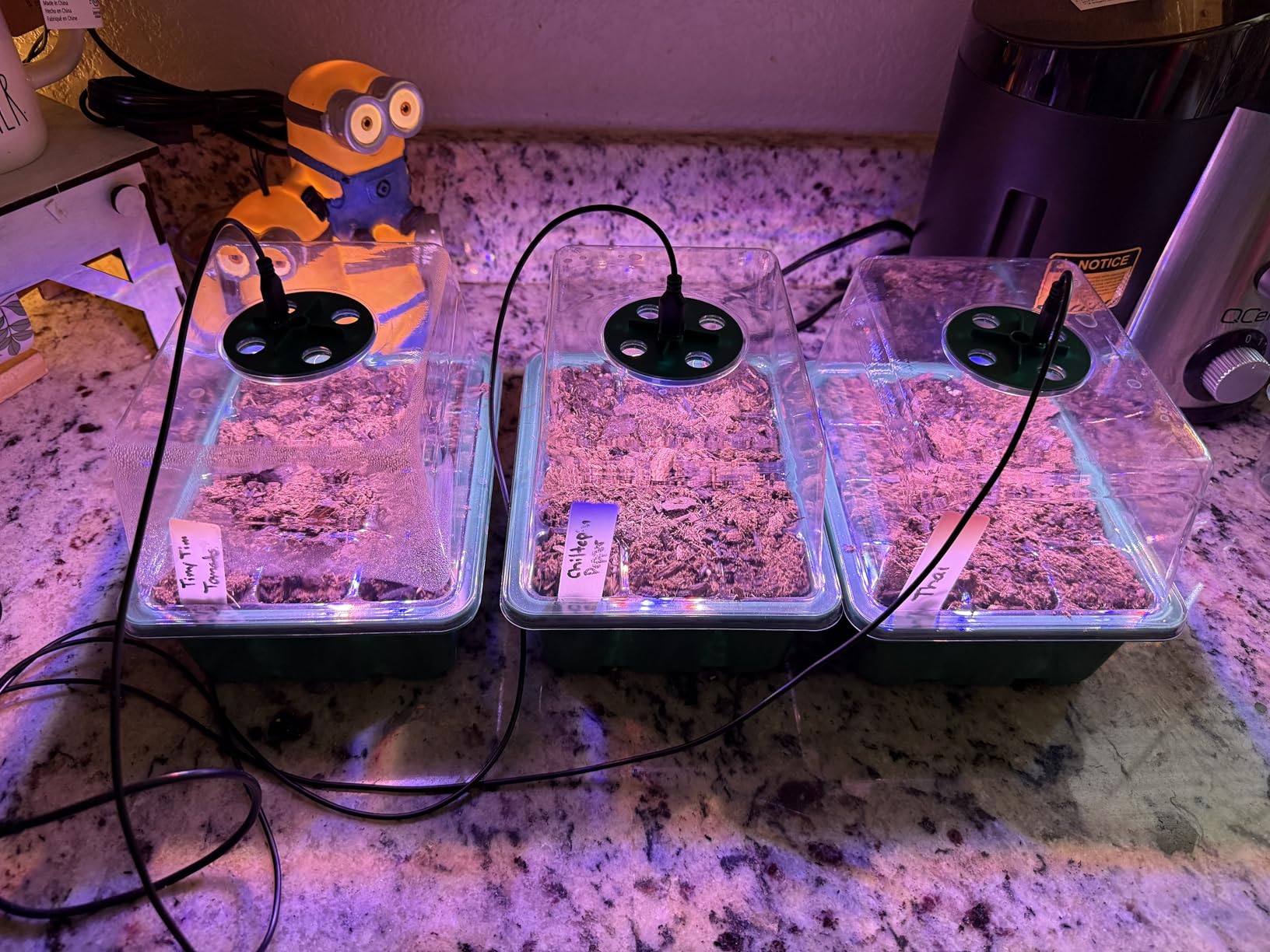 Seed Starter Trays with Grow Lights, 72 Cells Seed Starter Kit with Lights, 3 Lighting Mode, 4 Timing Set, Germination Kit for Seed Starting Trays, Seedling Starter with High Humidity Control Domes customer photo 1