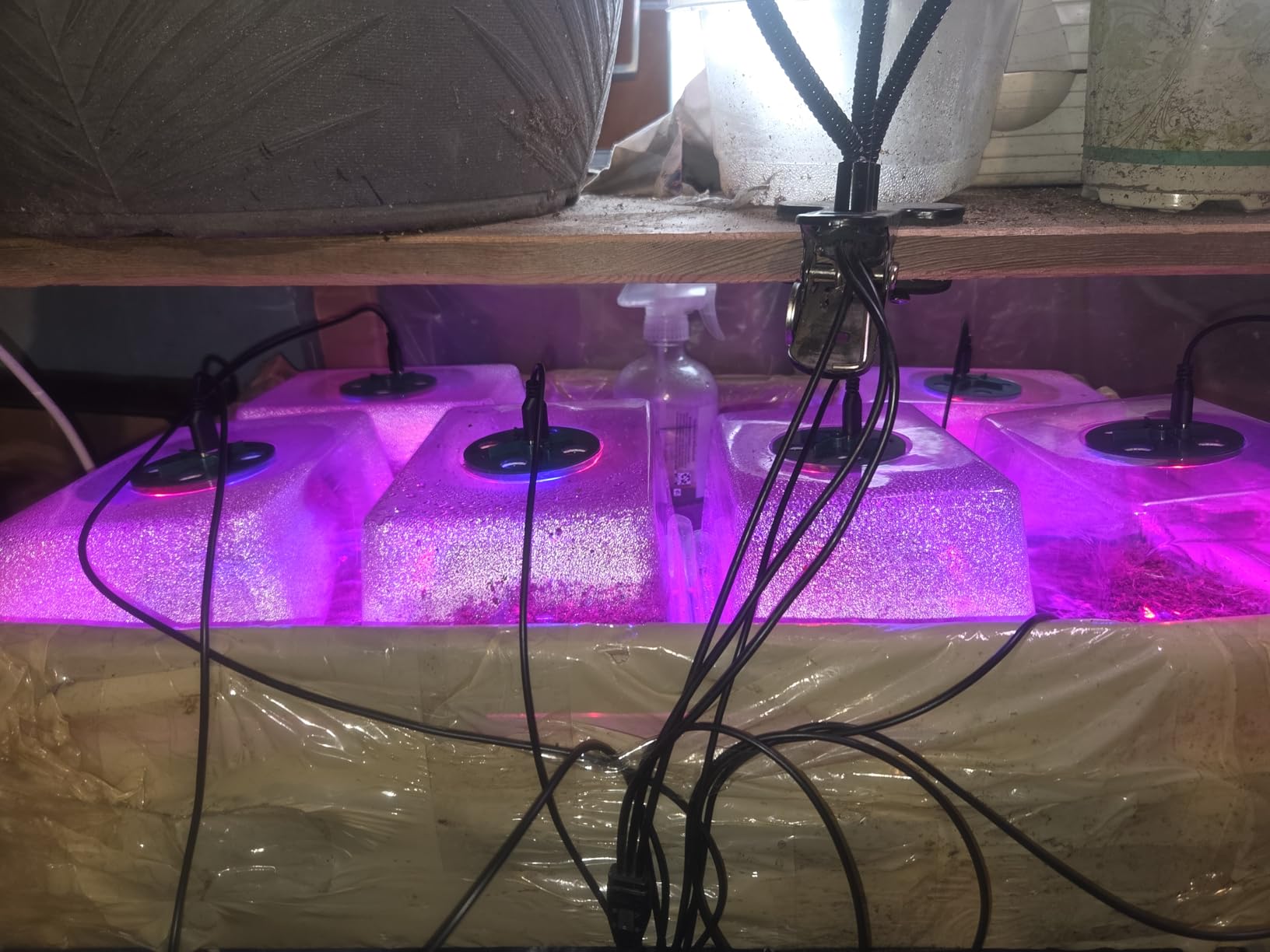 Seed Starter Trays with Grow Lights, 72 Cells Seed Starter Kit with Lights, 3 Lighting Mode, 4 Timing Set, Germination Kit for Seed Starting Trays, Seedling Starter with High Humidity Control Domes customer photo 2