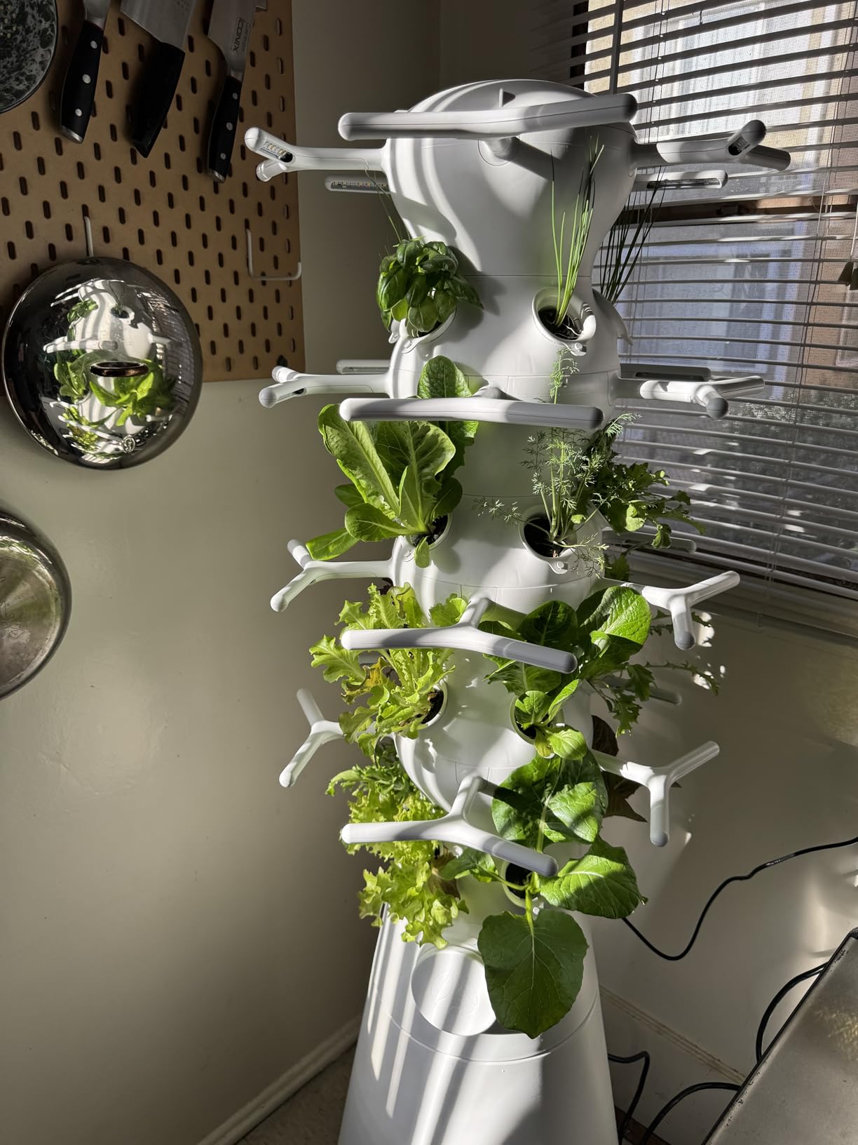 Farmstand Nook 4ft.7'' Vertical Hydroponic Garden Tower - Self-Watering, Vertical Hydroponic Tower with LED Grow Lights, 20 Live Seedlings, Smart Timer - Indoor Vertical Growing Tower customer photo 2
