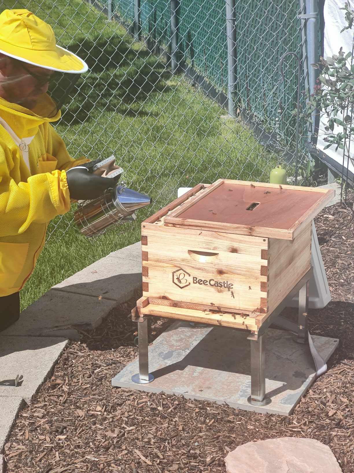 BeeCastle 2 Pack 3.5L Beehive Feeder Beehive Frame Feeder Deep Frame Water Feeder for Beekeeping Bee Feeding Tools customer photo 1