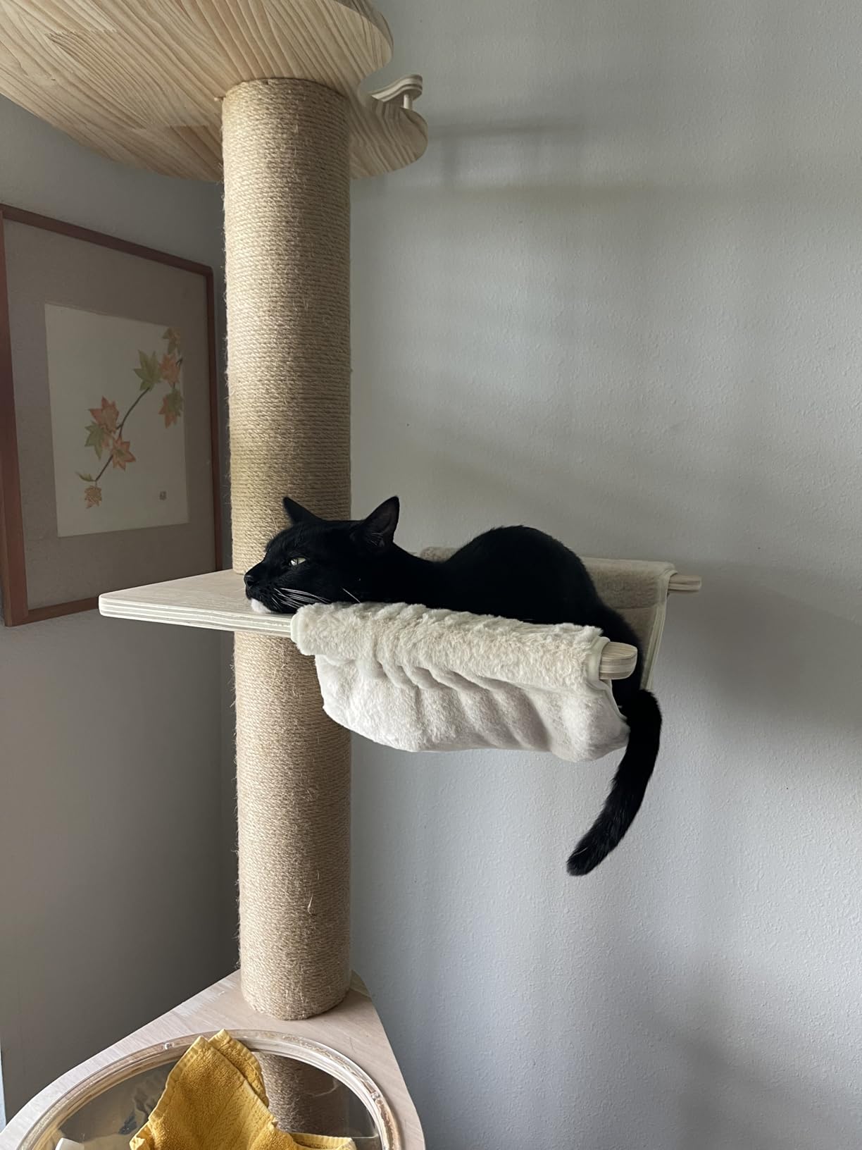 Floor to Ceiling Cat Tree Height (50-120in) Adjustable Cat Tower 5 Tier Hemp Scratching Post High Cat Tree Sturdy Activity Tree Indoor Outdoor Cat Scratching Post Activity Center customer photo 2