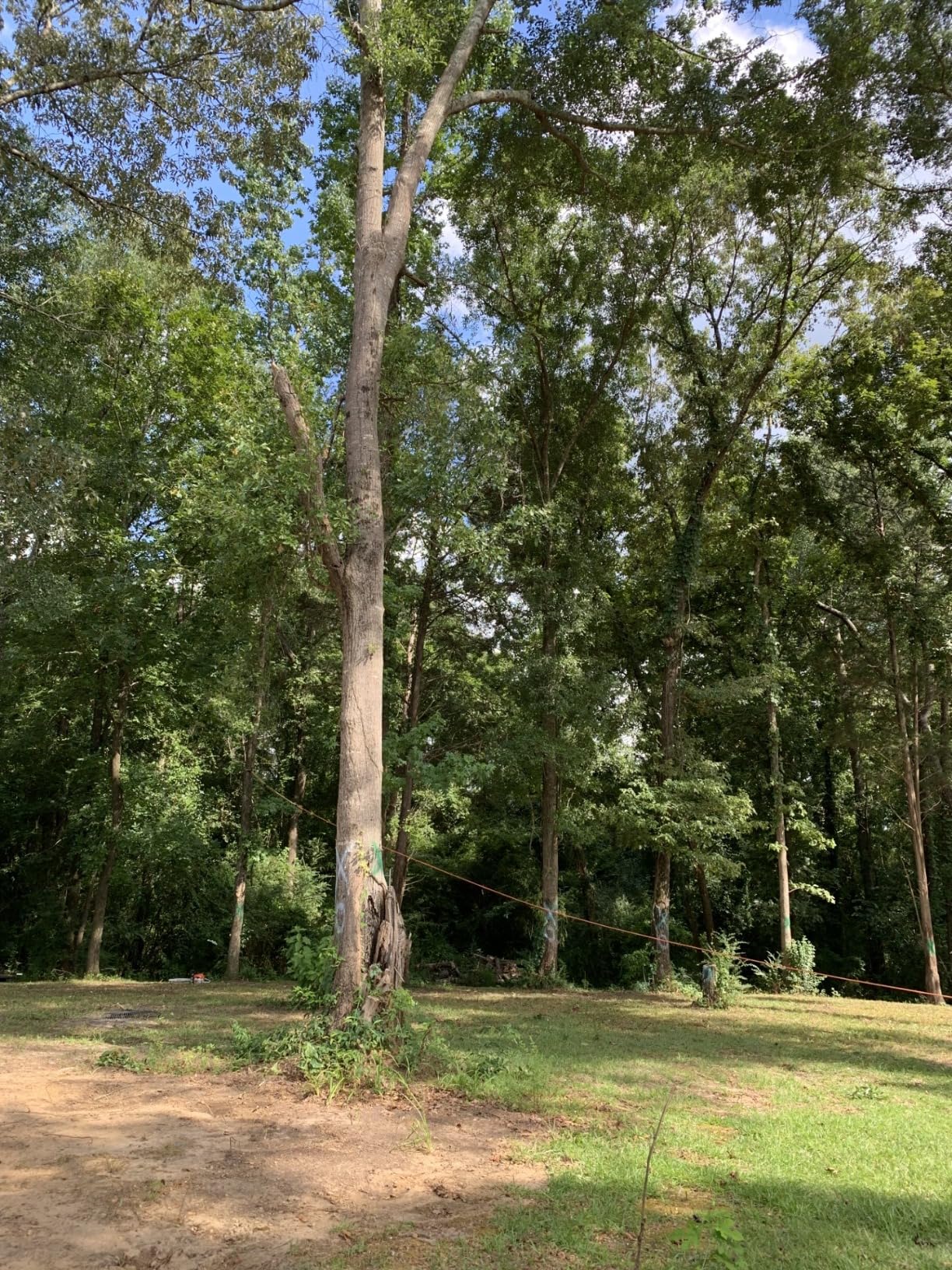 Double Braided Arborist Rigging Rope, 1/2