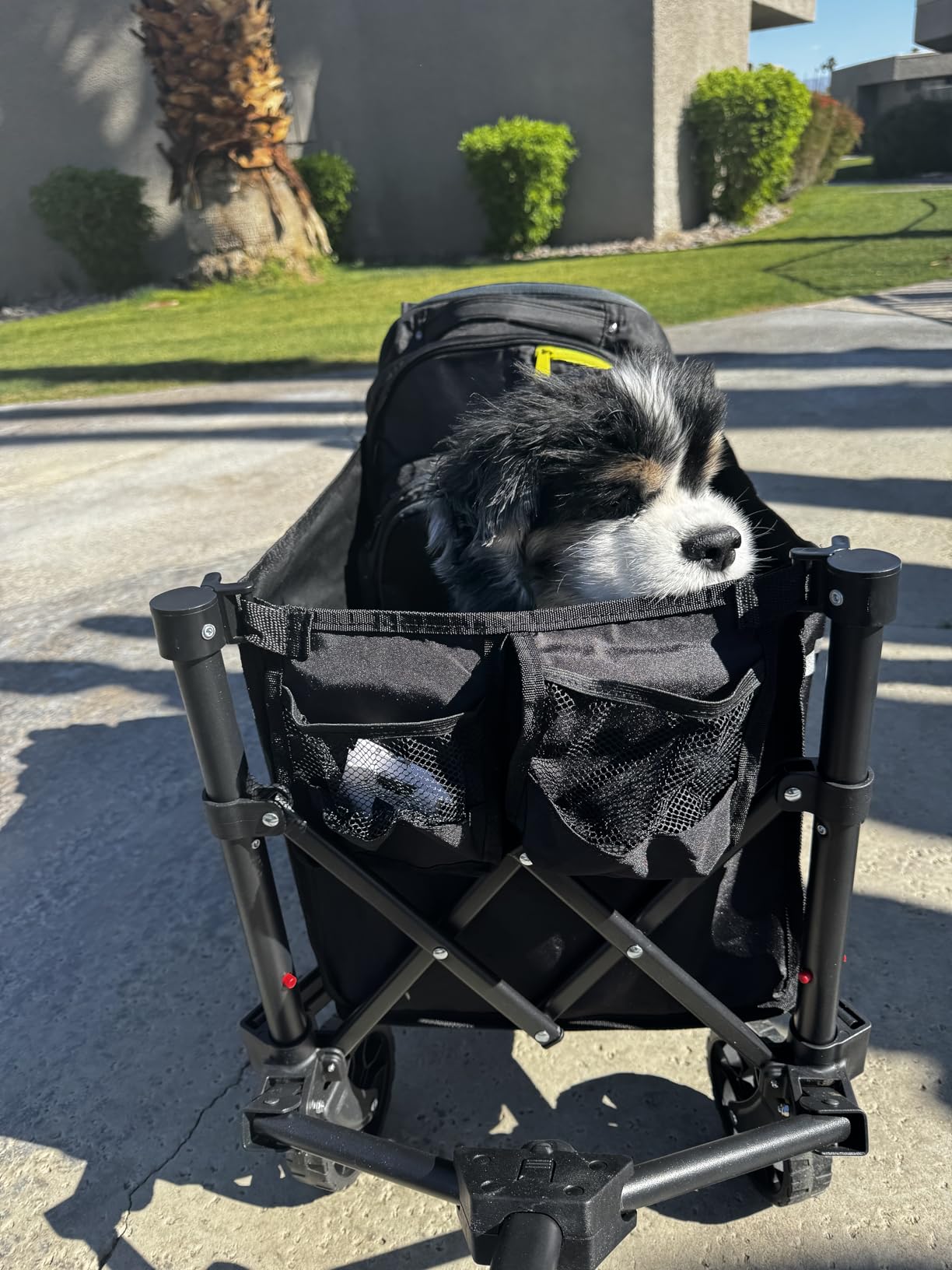 Collapsible Wagon Cart with Wheels Foldable - Folding Utility Heavy Duty Wagons Carts for Grocery Sports Garden Shopping Camping Wheelbarrows (Black, 120L) customer photo 2