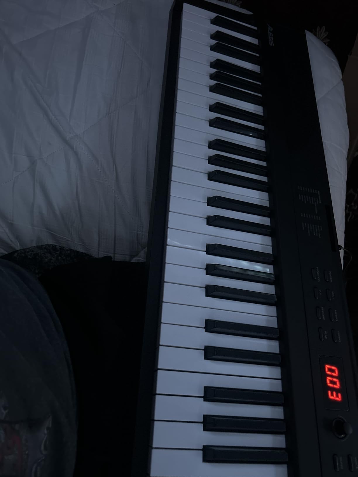 Alesis 88 Key Keyboard Piano with 480 Sounds, Speakers, USB MIDI, Carry-Bag, Stand, Headphones, Pedal and Piano Lessons for Beginners customer photo 1