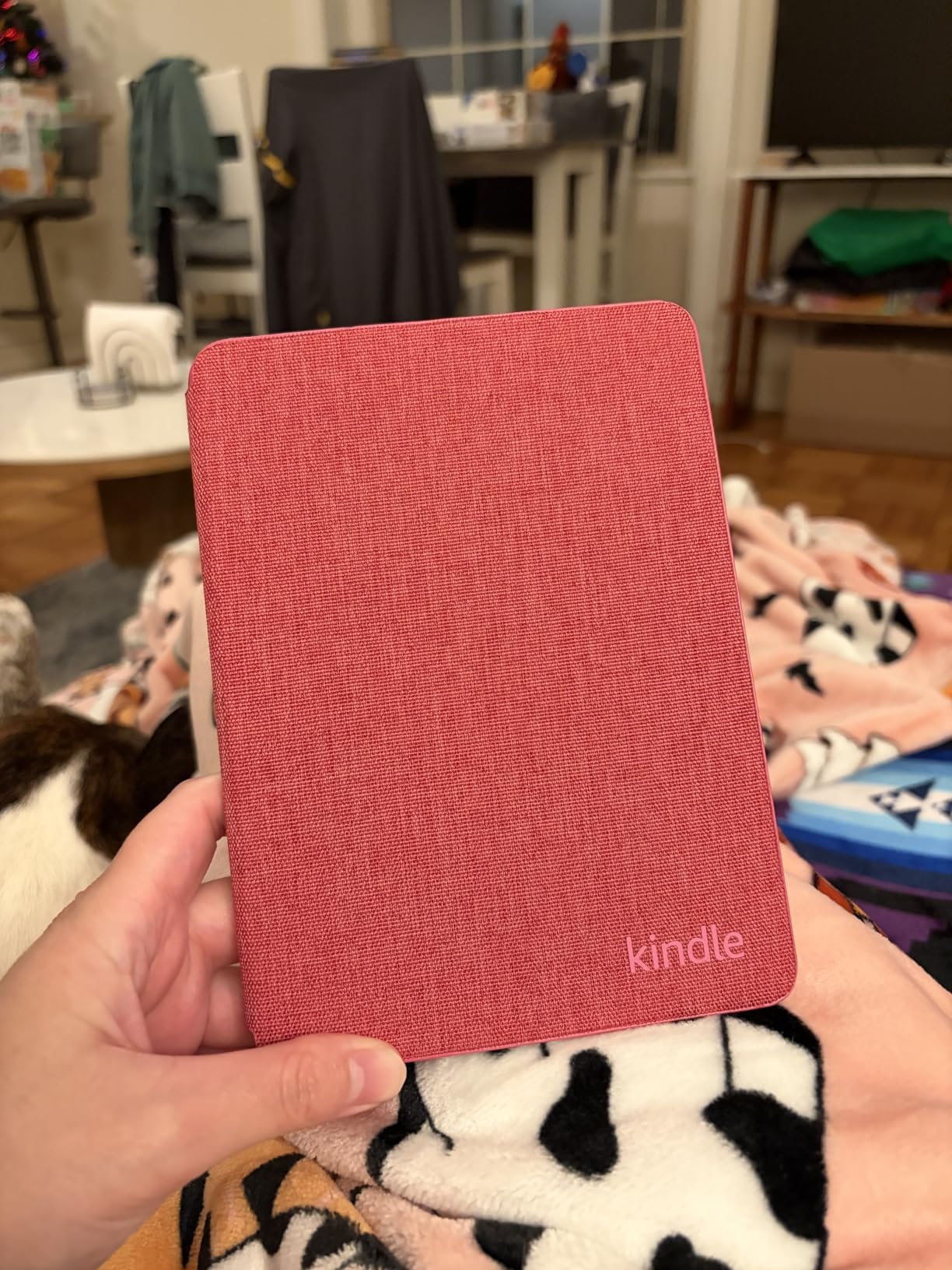 Amazon Kindle Paperwhite and Kindle Colorsoft Case, Lightweight and Water-Safe, Foldable Protective Cover - Fabric customer photo 1