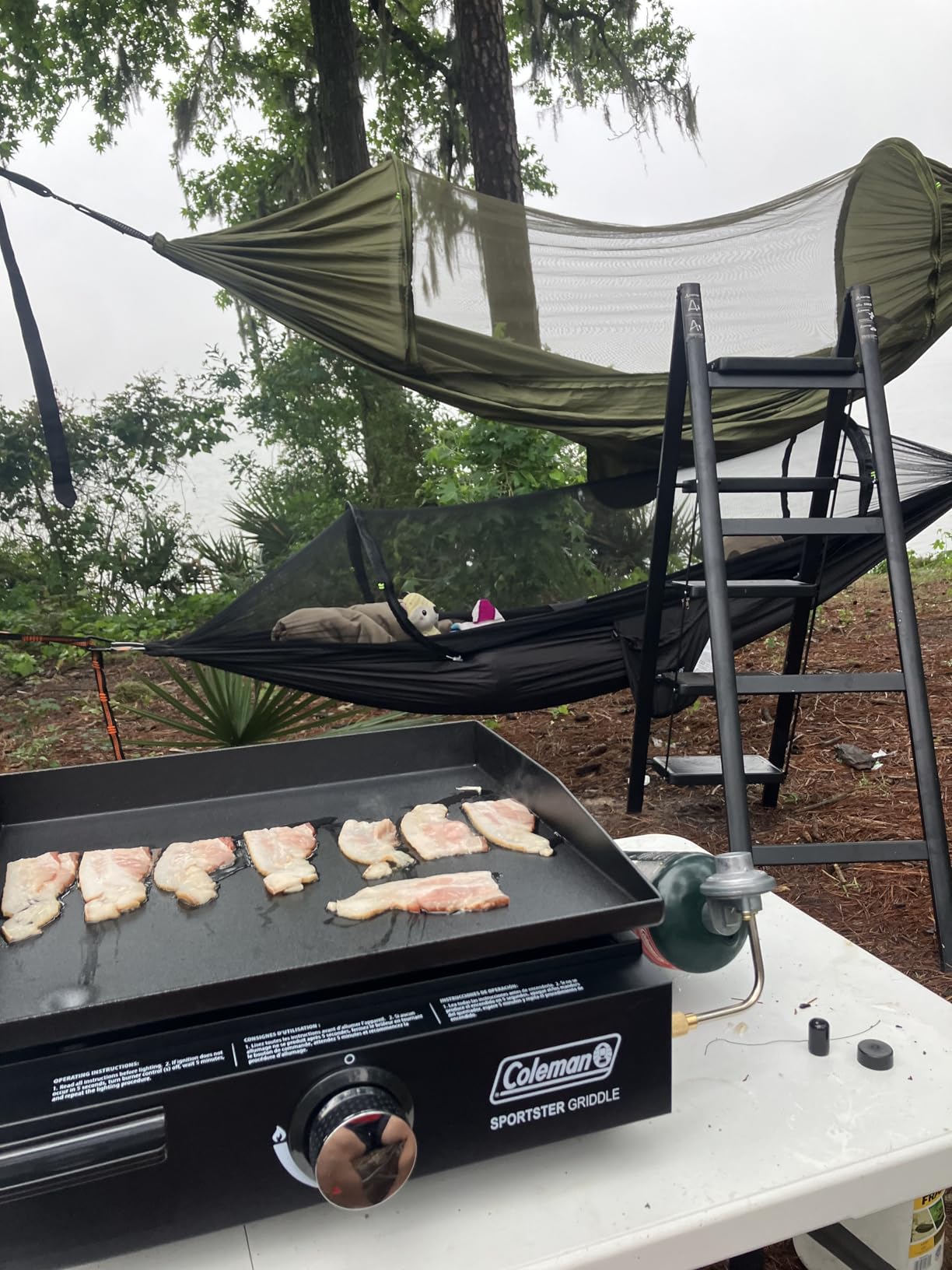 3-Step Folding Ladder, Heavy Duty Ladders for Home & Kitchen, Folding Ladder Easy to Store, Tall Ladder for Adults, Anti-Slip & Space-Saving Step Ladder, 330 Lbs Capacity customer photo 2