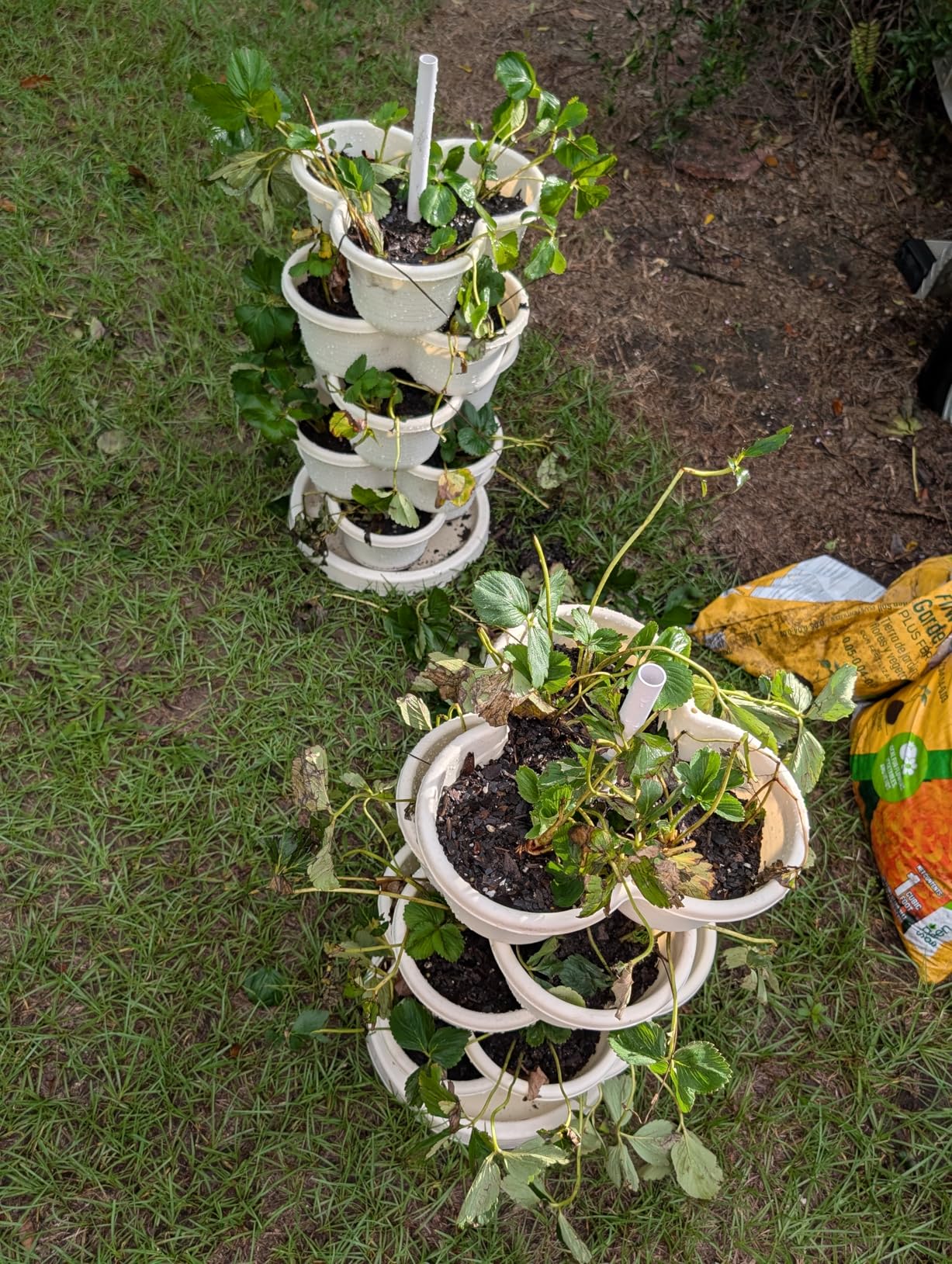 Hourleey Strawberry Planter, 5 Tier Stackable Gaden Tower for Flowers, Vegetables, Grow Your Own Herb Garden Vertical Oasis of Vegetables and Succulents customer photo 1