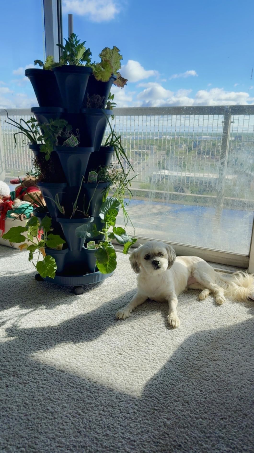 Hourleey Strawberry Planter, 5 Tier Stackable Gaden Tower for Flowers, Vegetables, Grow Your Own Herb Garden Vertical Oasis of Vegetables and Succulents customer photo 2