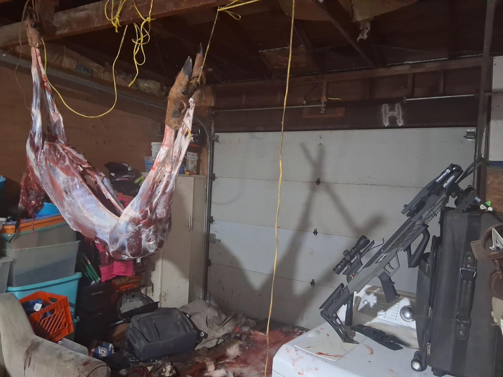 Xpedition Archery Scrapeline 390X Crossbow, 6.7LB 390 Feet Per Second Compound Crossbow Package with 4X32 Scope customer photo 1