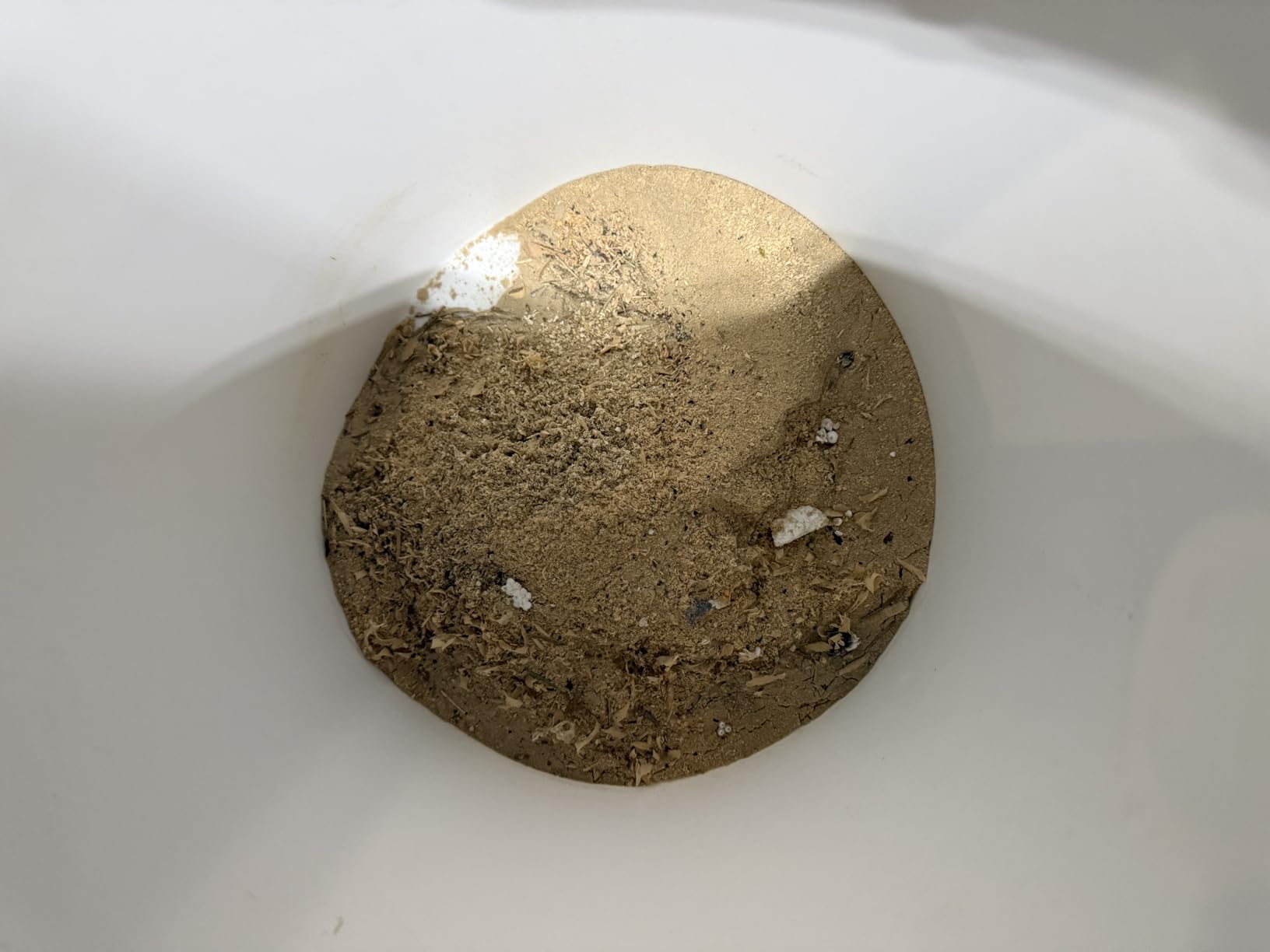 The Dustopper PRO, Low-Profile Dust Separator for Shop Wet/Dry Vacuums. Includes High-Flow 90 Degree Sweep Elbows and Connection Hose. Fits Standard 5 Gallon Buckets, Made in USA customer photo 1