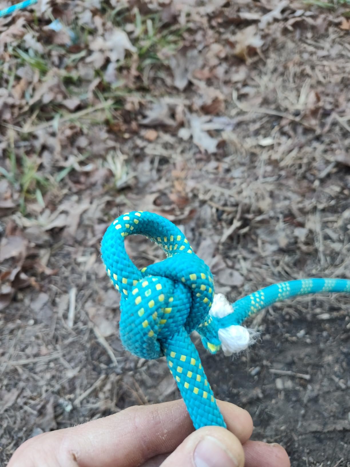 1/2 Inch Arborist Rigging Rope (150 Ft) | 9,000 lbs MBS Double Braid Polyester Bull Rope | ASTM F2116 Certified Static Line for Tree Removal, Heavy Limb Lowering & Utility Hoisting - Blue customer photo 2