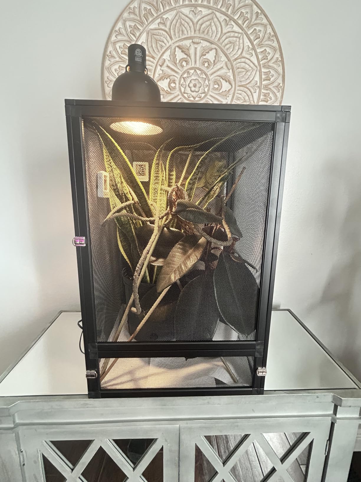 33 Gal Detachable and Foldable Reptile Butterfly Cage Terrarium, 360° Observation, Airflow, Interaction in Gecko Tank for Crested Geckos, Leopard Geckos, Chameleons, Bearded Dragons customer photo 2