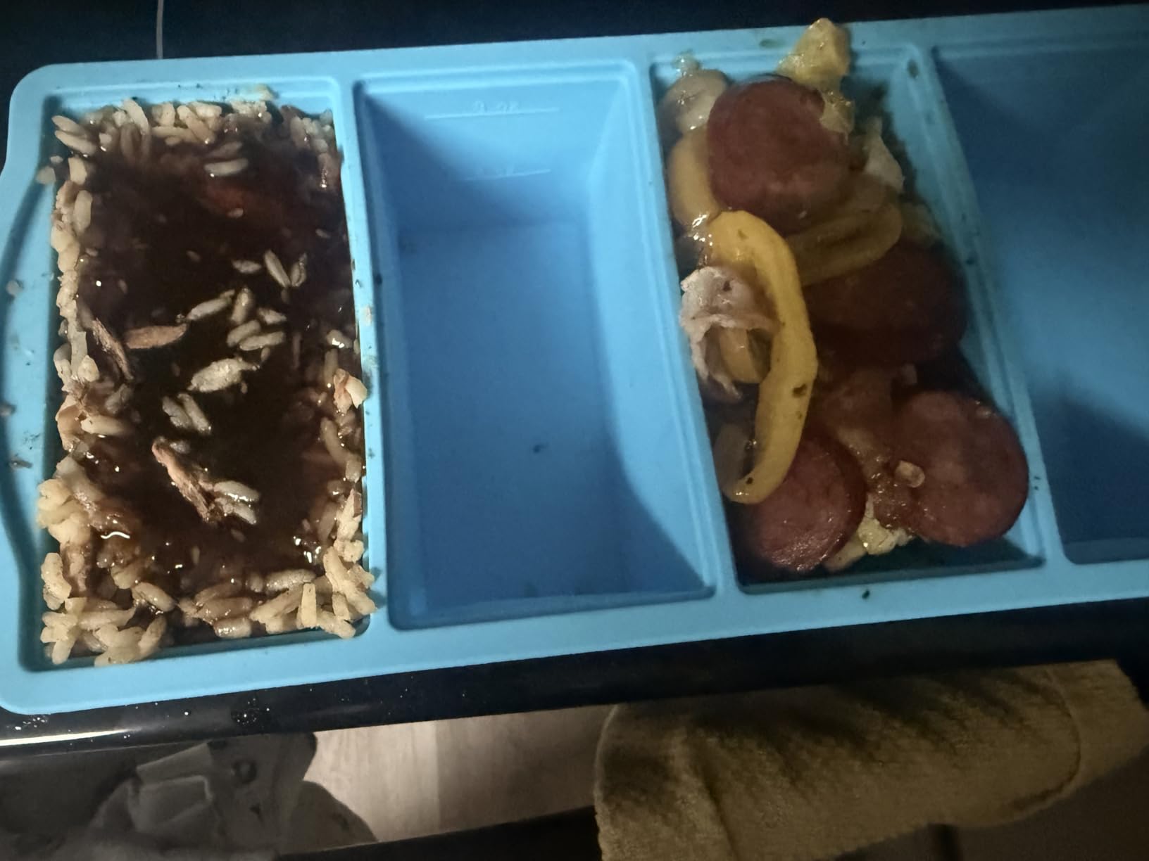 Silicone Freezer Trays with Lid,1-cup Soup Freezer Container large Ice Cube Molds with Reinforced Steel Ring Top for freezing Soup Sauce Broth Leftovers oven Dishwasher -Safe(2-Pack) customer photo 1