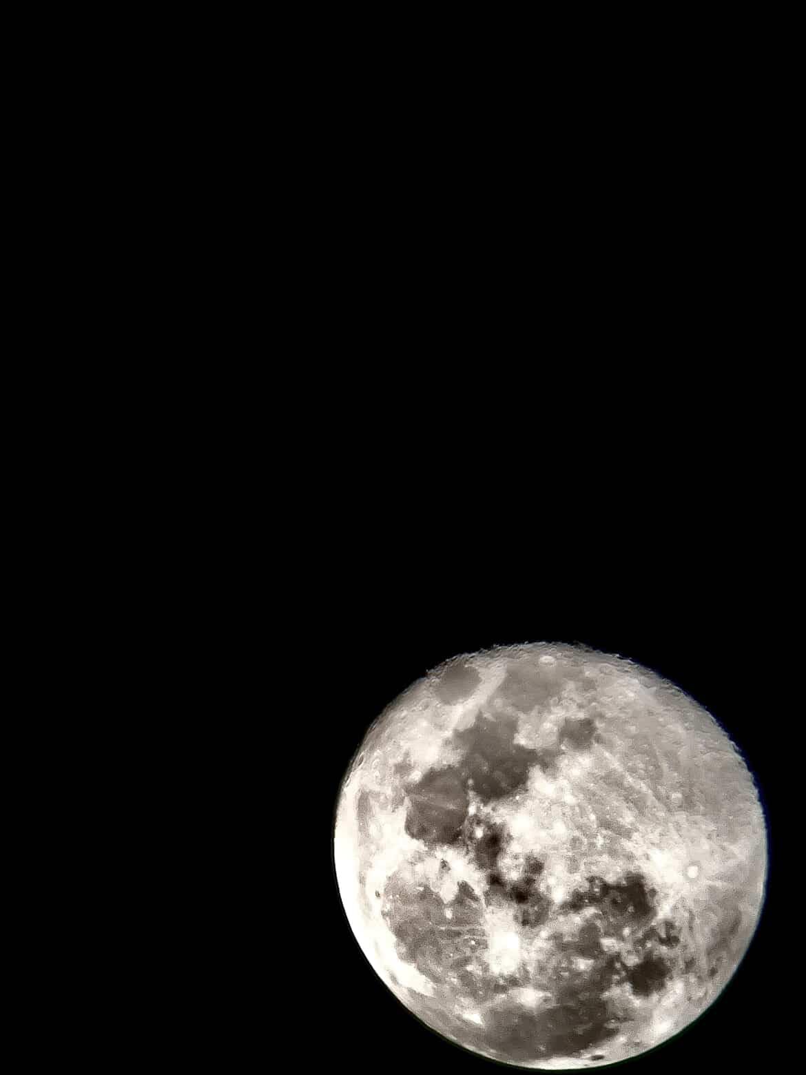 Telescope, Telescope for Adults High Powered Professional, 90mm Aperture 800mm Refractor Telescopes for Astronomy Beginners Fully Multi-Coated with AZ Mount Tripod & Phone Adapter & Carry Bag customer photo 1