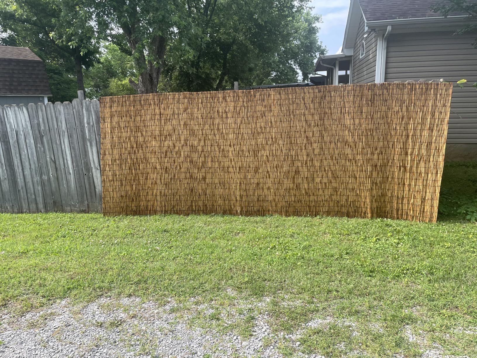 Natural Reed Fence,6FT X 16.4FT Bamboo Fencing Privacy Reed Screening for Outdoor, Gallery, Restaurant, Hotel, Patio customer photo 2