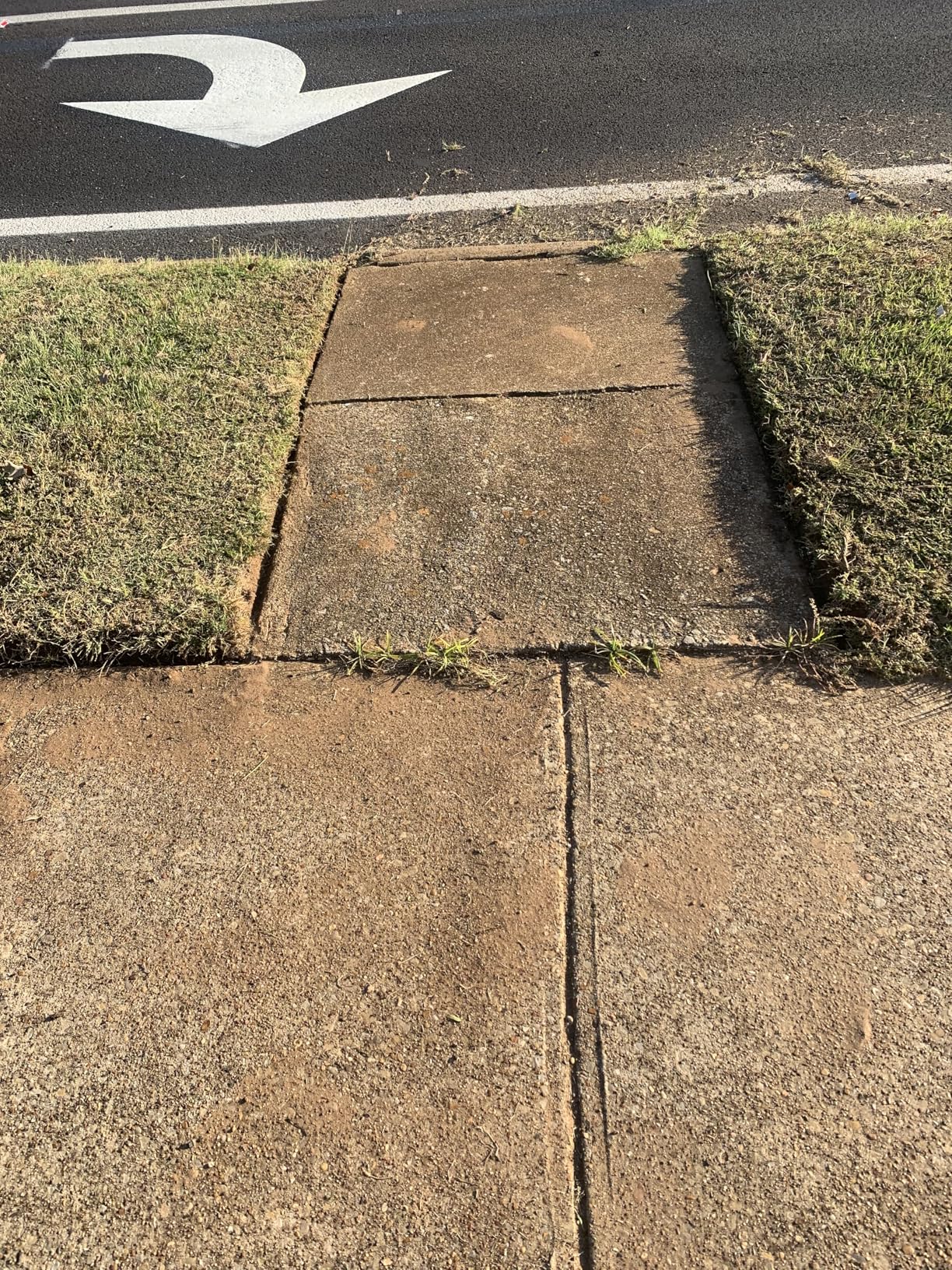 WORX Nitro Cordless Lawn Edger, 7'' Grass Edger with 3 Depth Settings, 20V Electric Edger with Dual Wheels & Brushless Motor, 4.0 Ah Battery & Charger Included, WG898 customer photo 2