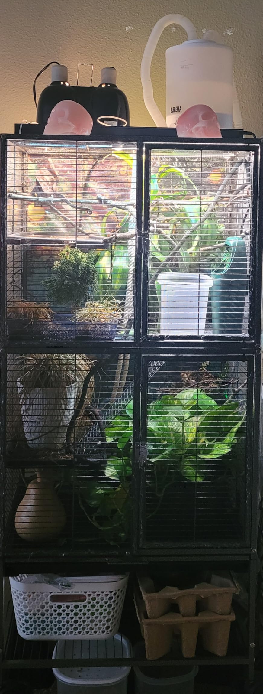 Large Two Full Story Deluxe Double Unit 4-Tiers Tight 1/2-Inch Bar Spacing Durable Front Doors Water Bottle Food Bowl for Feisty Ferret Squirrel Hammock Rat Gerbil Small Animal Critter Rolling Cage customer photo 1