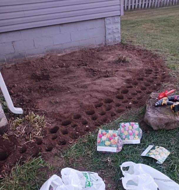 Auger Drill Bit for Planting Set of 3, (1.6x8.6, 3x12, 2x14.5) for 3/8