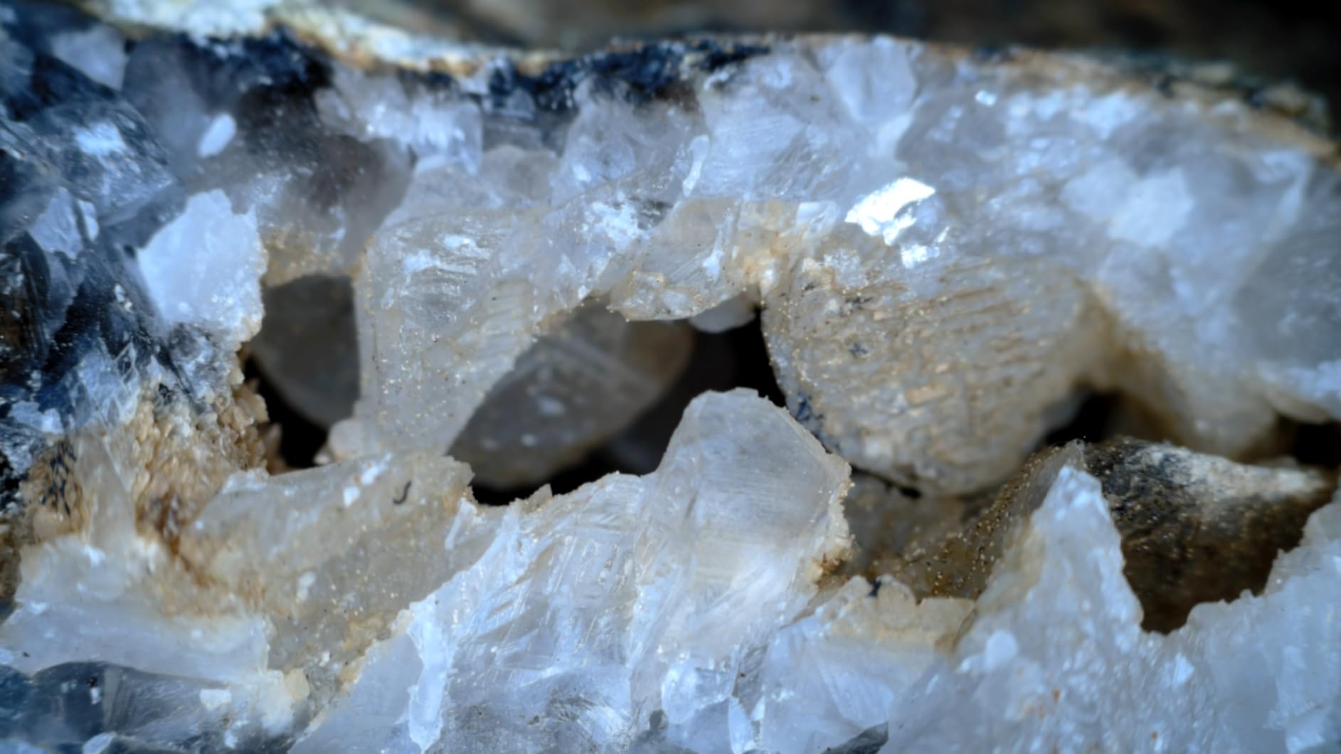 AVerMedia HDMI 2.1 Internal PCIe Capture Card for Streaming and Recording 4K60 with Ultra-Low Latency on PS5, PS4 Pro, Xbox Series X/S, Xbox One X, Switch Games - GC575 Live Gamer 4K 2.1 customer photo 1