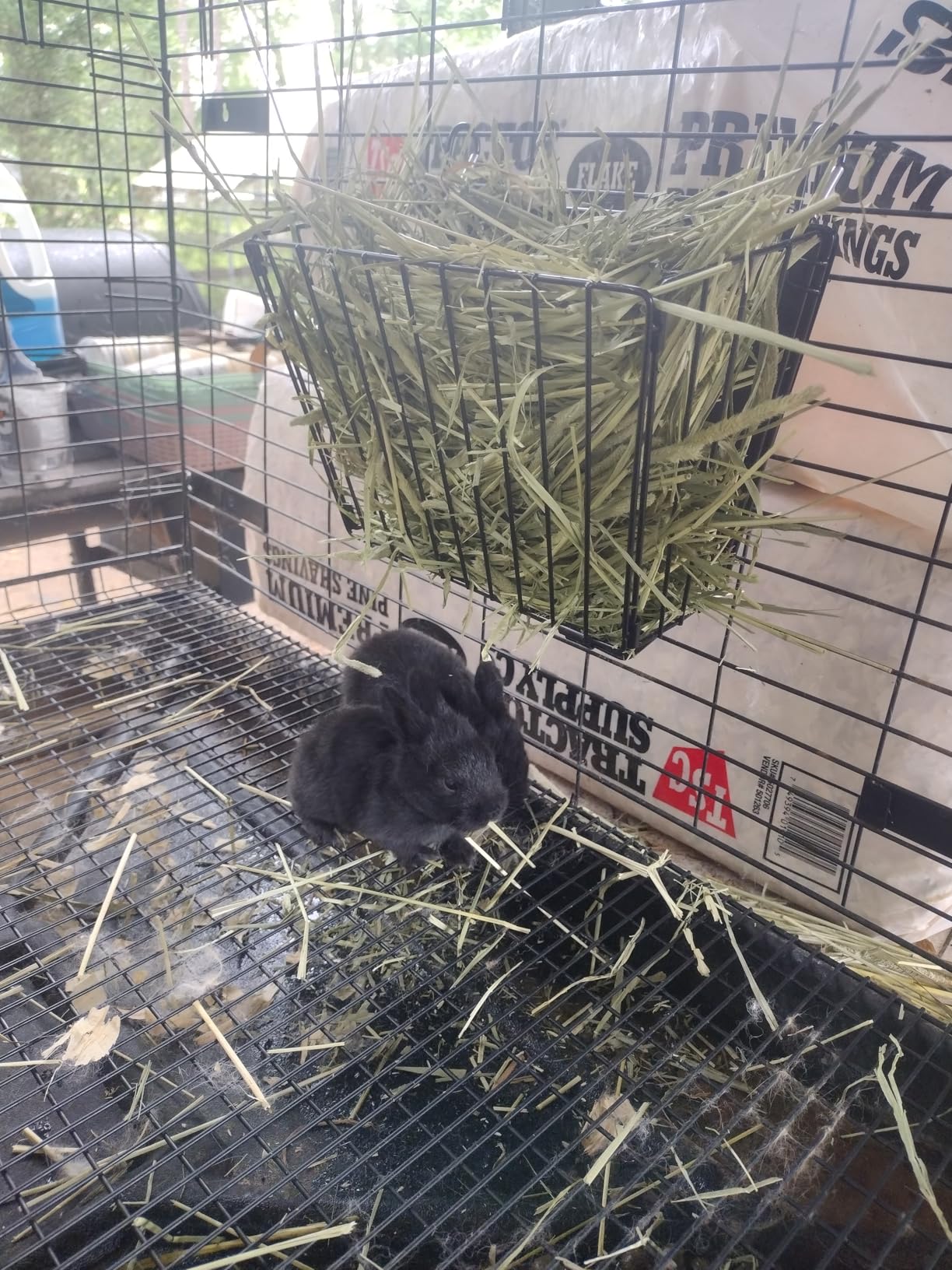 X Large Rabbit Hay Feeder Guinea Pig Hay Feeder Metal Frame Bunny Hay Holder Guinea Pig Hay Holder for Bunny, Guinea Pigs, Chinchillas, Small Animals (1 Pack) customer photo 2