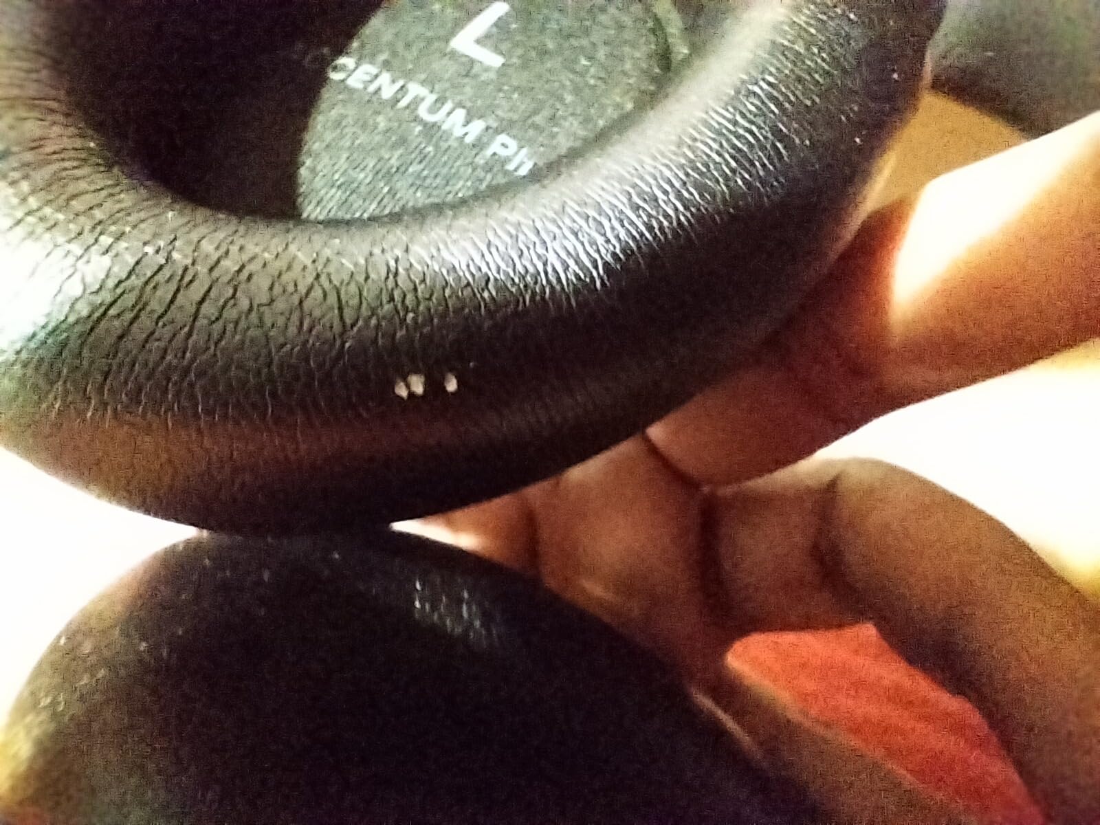 Sennheiser ACCENTUM Plus Wireless Bluetooth Headphones Noise Cancelling - Quick-Charge Feature, 50-Hr Battery Playtime, Adaptive Hybrid ANC, Bluetooth Over Ear Headphones for Traveling, School, Black customer photo 2