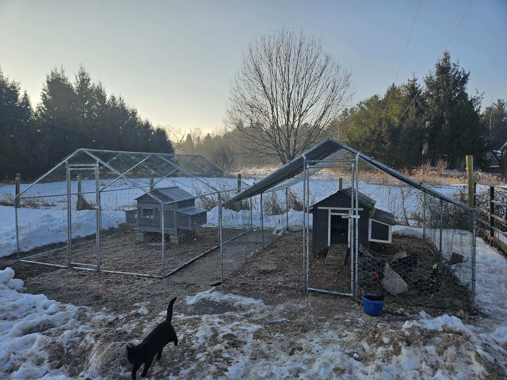 Large Metal Chicken Coop Walk-in Poultry Cage with Water-Resident and Anti-UV Cover Duck Rabbit Cat House Outdoor Chicken Run Pen with Spire Shaped Cage customer photo 1
