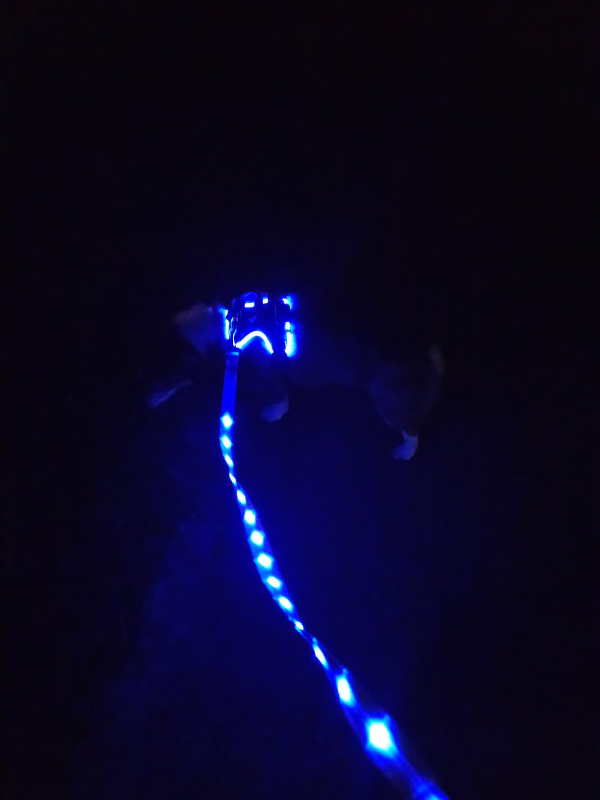 MASBRILL Light Up Dog Harness - LED No Pull Rechargeable Illuminated and Reflective Vest for Night Walking, Adjustable Dog Harness customer photo 2