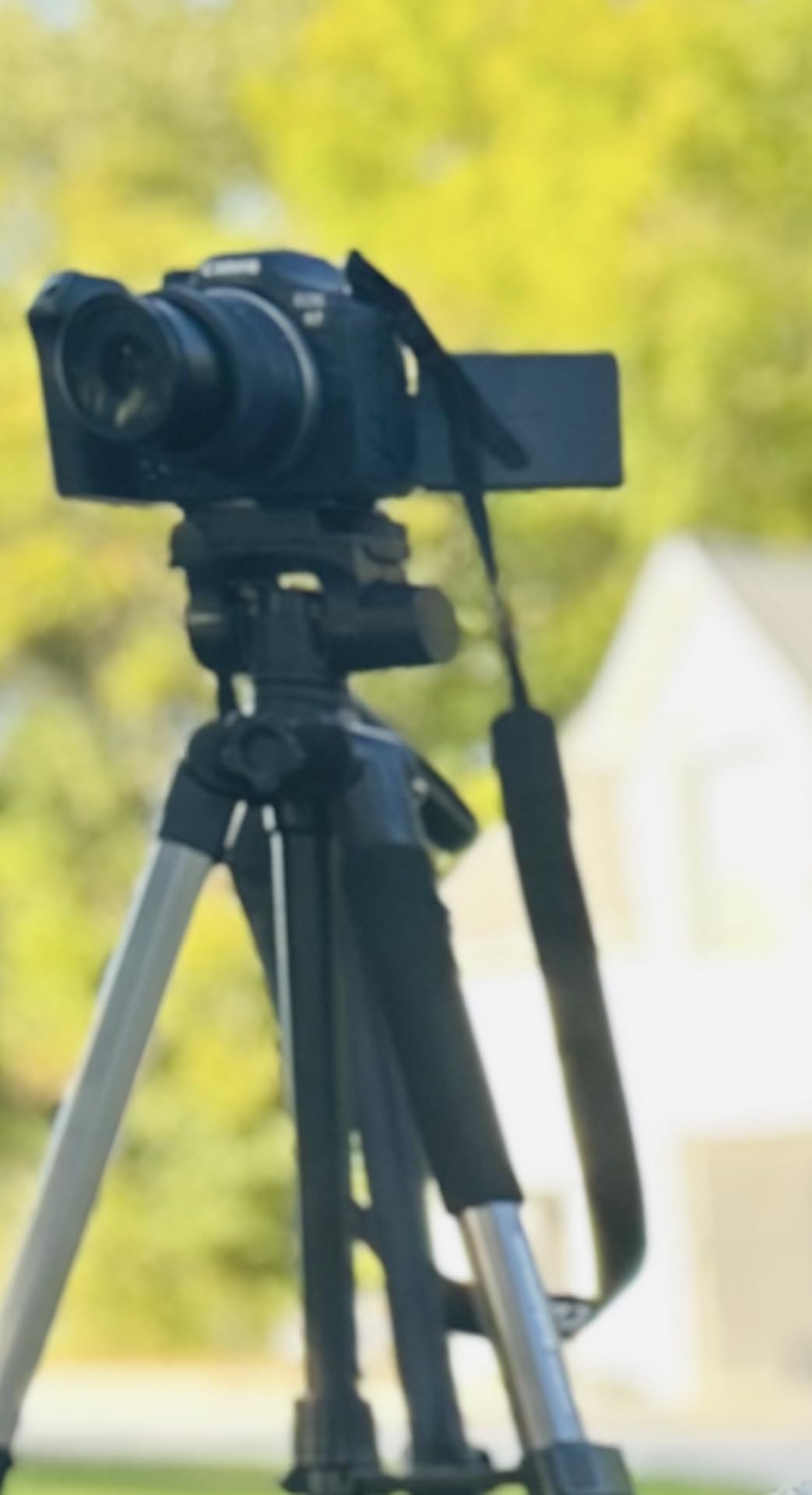 CAMBOFOTO 74 inch Aluminum Camera Tripod - Heavy Duty Professional Tripod Stand for DSLR and Mirrorless Cameras Smartphones and GoPro - Lightweight Travel Tripod with 360 degree Pan Head and Phone Mount customer photo 1