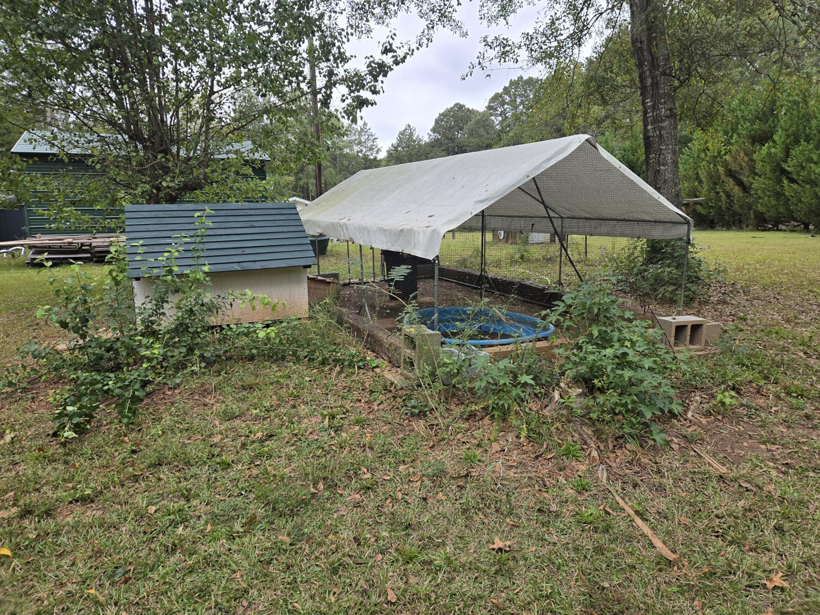 Quictent Large Metal Chicken Coop Run for 30+ Poultry with Side Hardware Cloth & Waterproof Cover, Advanced Series Outdoor Walk-in Cage Hen Duck Rabbit Dog Pen Yard Farm House, 18x9x6.6FT customer photo 1