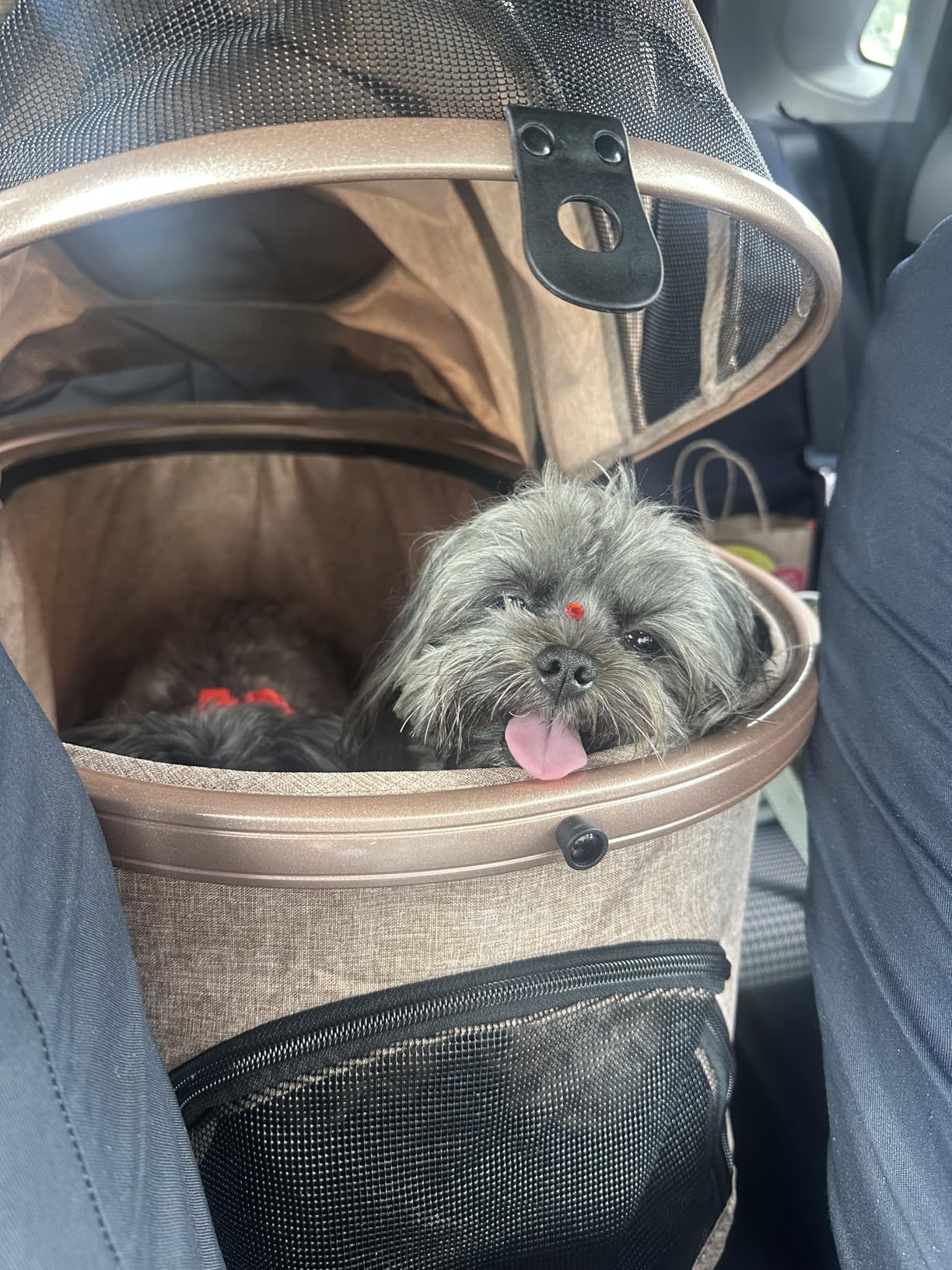 Pet Stroller for Medium Dogs, Smooth-Ride Dog Stroller with Detachable Carrier, Rubber Wheels, Car Seat Combo 3-in-1, Up to 50 lbs, for Senior Dogs & Cats, Grey customer photo 1