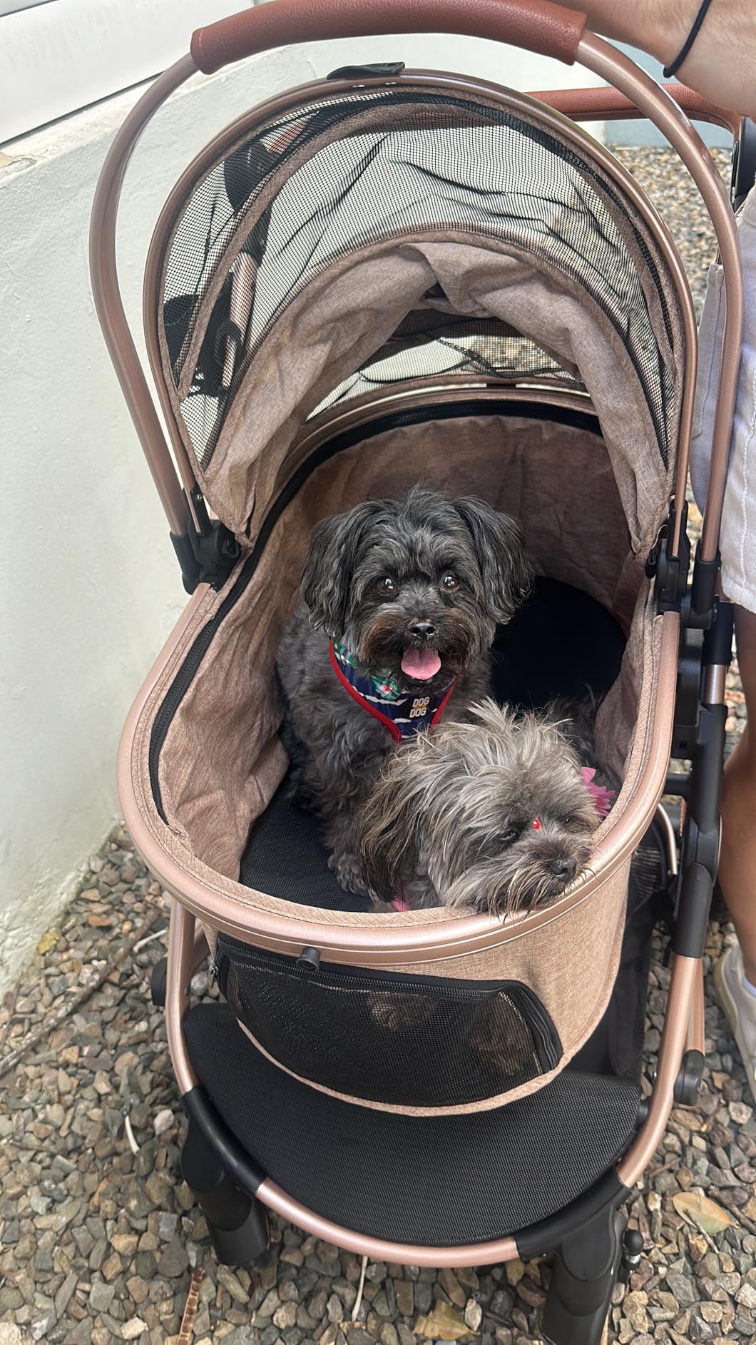 Pet Stroller for Medium Dogs, Smooth-Ride Dog Stroller with Detachable Carrier, Rubber Wheels, Car Seat Combo 3-in-1, Up to 50 lbs, for Senior Dogs & Cats, Grey customer photo 2