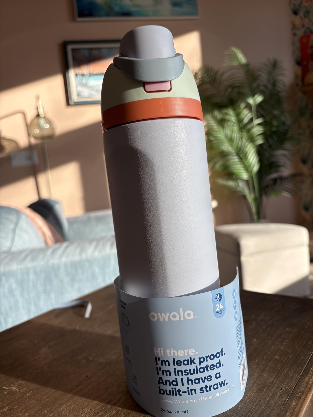 Owala Kids FreeSip Insulated Stainless Steel Water Bottle with Straw for Sports, Travel, and School BPA-Free Sports Water Bottle, 16 oz, Blue Citrus customer photo 1